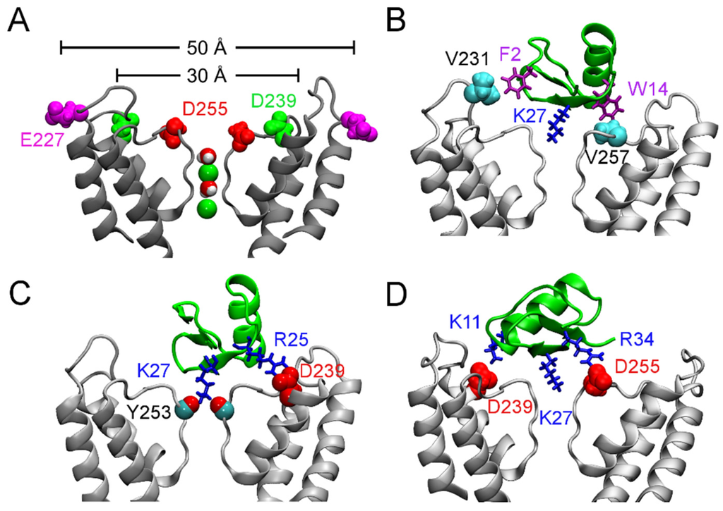 Toxins | Special Issue : Animal Toxins and Biological Ion Channels