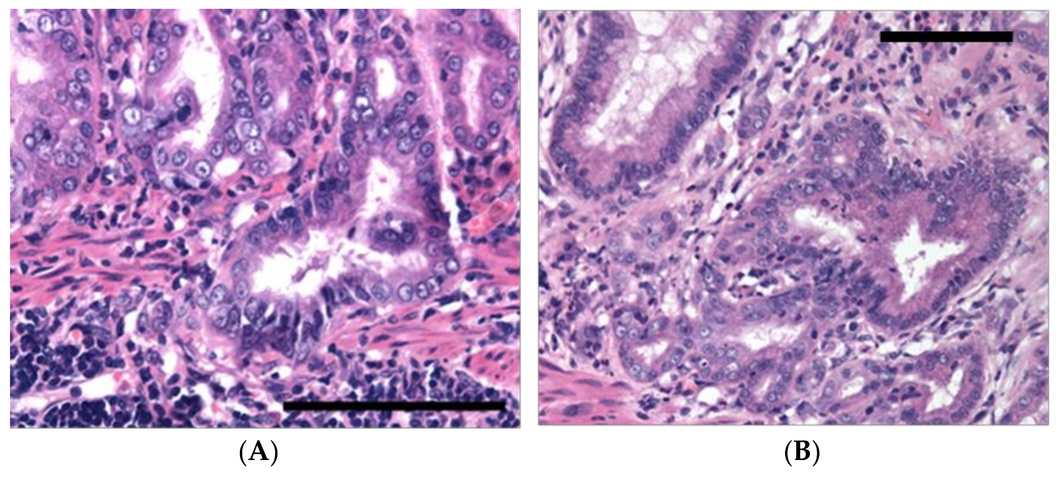 Toxins 10 00163 g005 Toxins 10 00163 g005