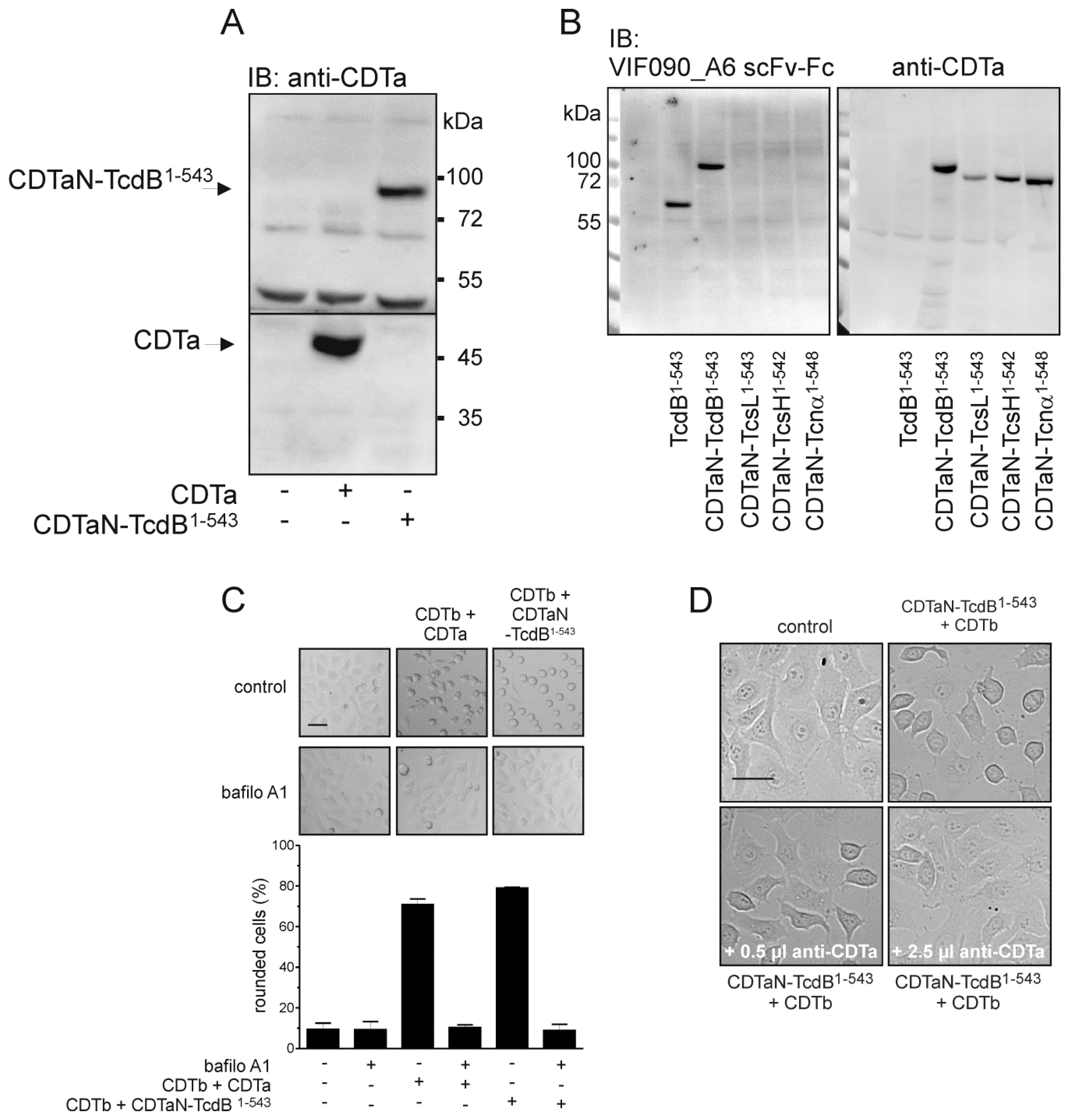 Toxins 10 00225 g004 Toxins 10 00225 g004