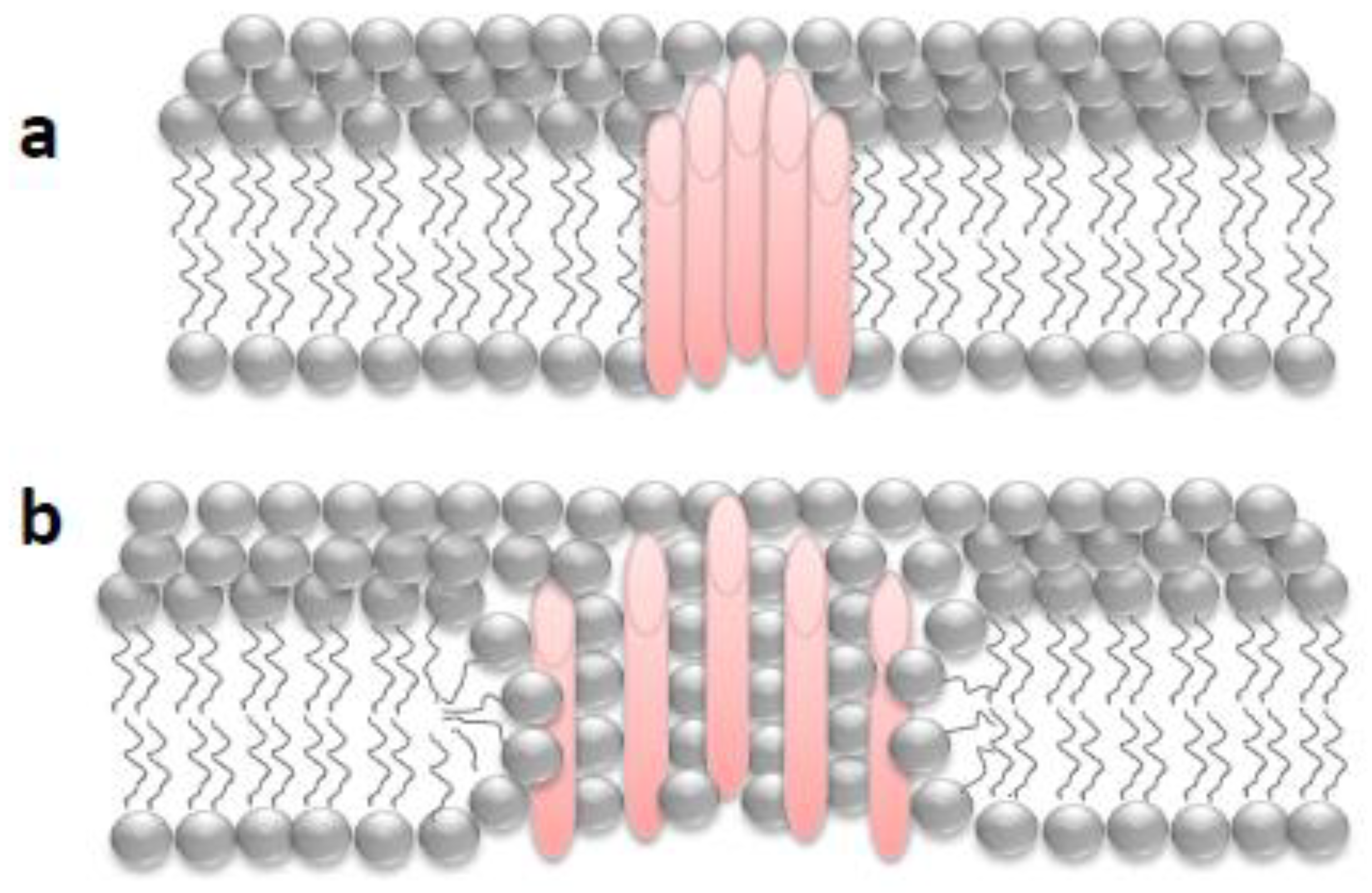 Toxins | Free Full-Text | Membrane Repair Mechanisms against