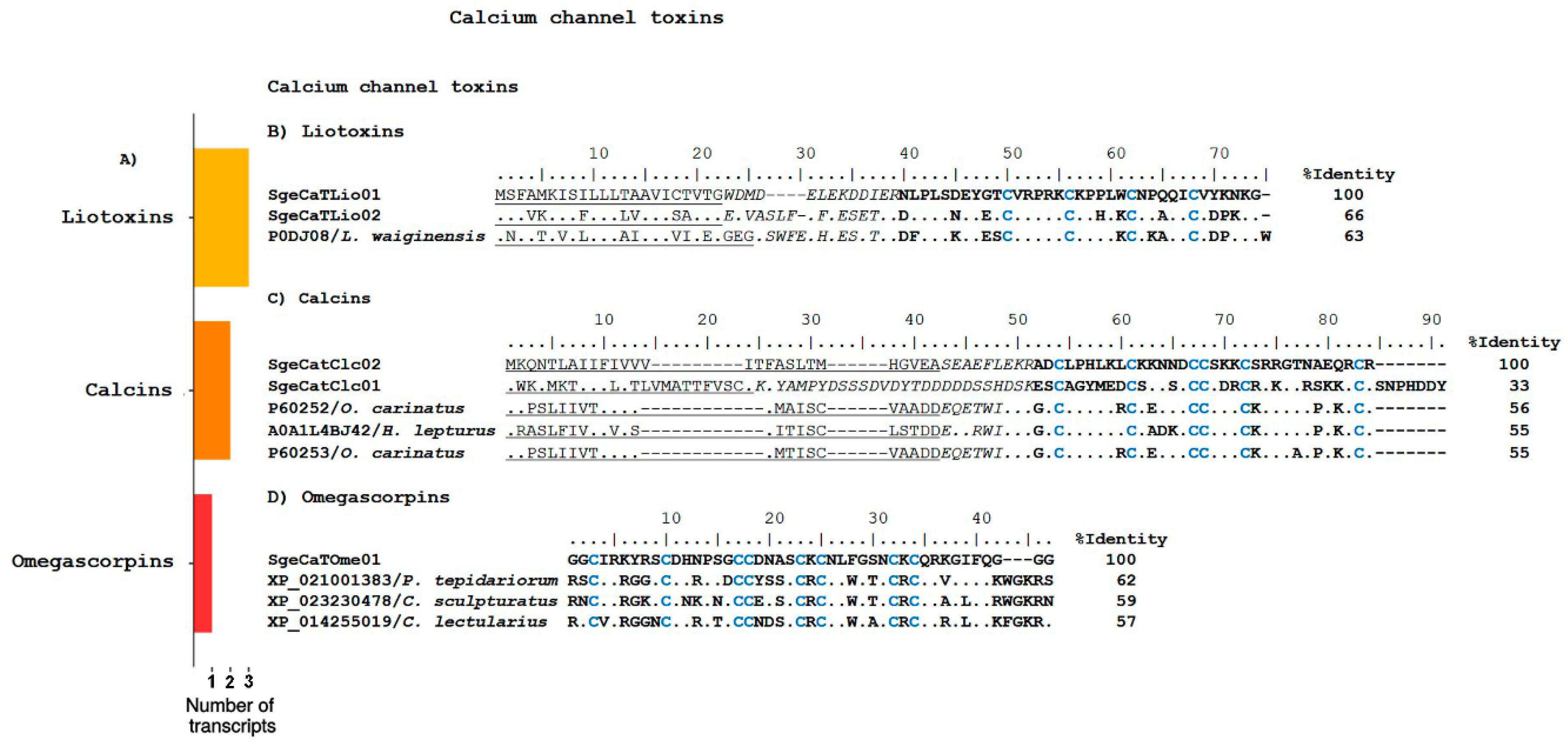 Toxins Free Full Text Transcriptomic And Proteomic Analyses Reveal The Diversity Of Venom Components From The Vaejovid Scorpion Serradigitus Gertschi Html