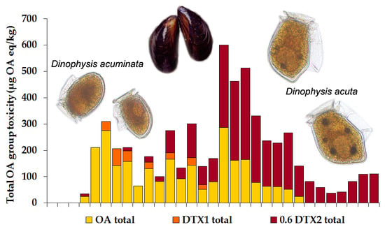 Toxins Free Full Text Dinophysis Acuta In Scottish Coastal Waters And Its Influence On Diarrhetic Shellfish Toxin Profiles Html