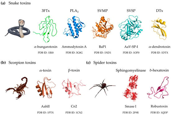 Toxins Free Full Text Innovative Immunization Strategies For Antivenom Development Html