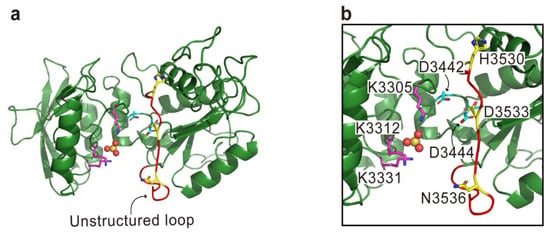 Toxins Special Issue Bacterial Toxins Structurefunction Relationship