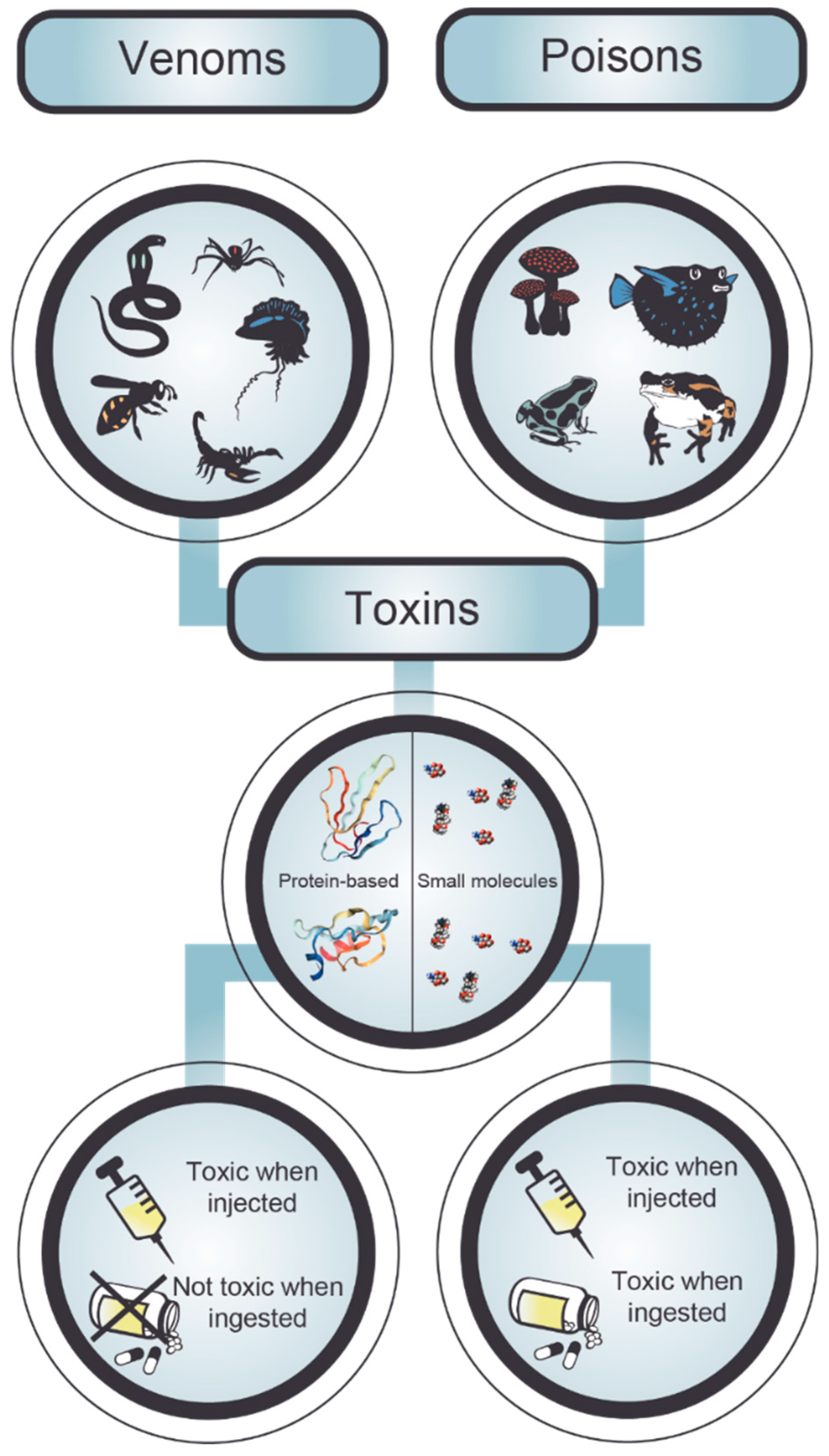 https://www.mdpi.com/toxins/toxins-11-00053/article_deploy/html/images/toxins-11-00053-g002.png