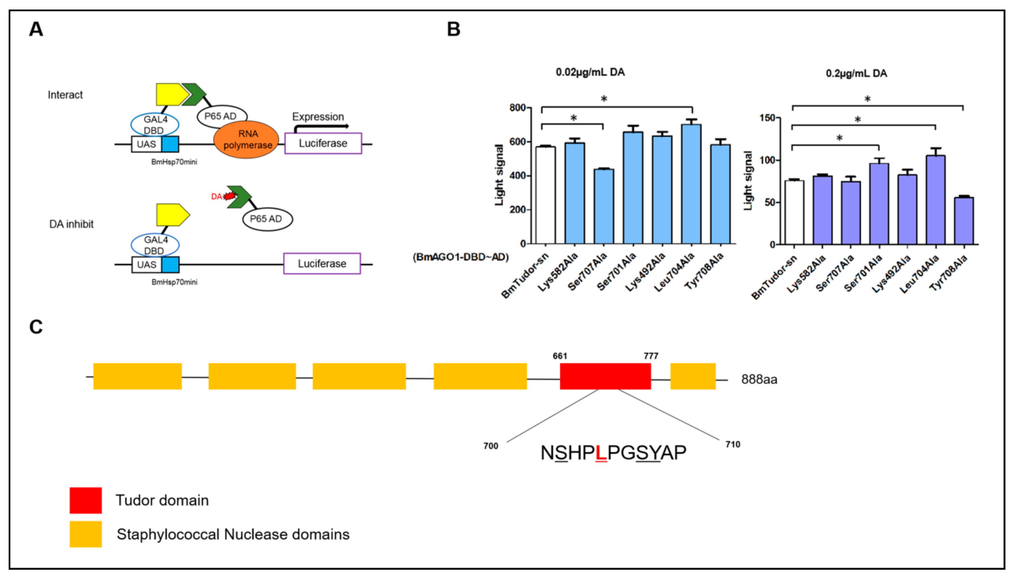 Toxins Free Full Text Bmtudor Sn Is A Binding Protein Of Destruxin A In Silkworm Bm12 Cells Html