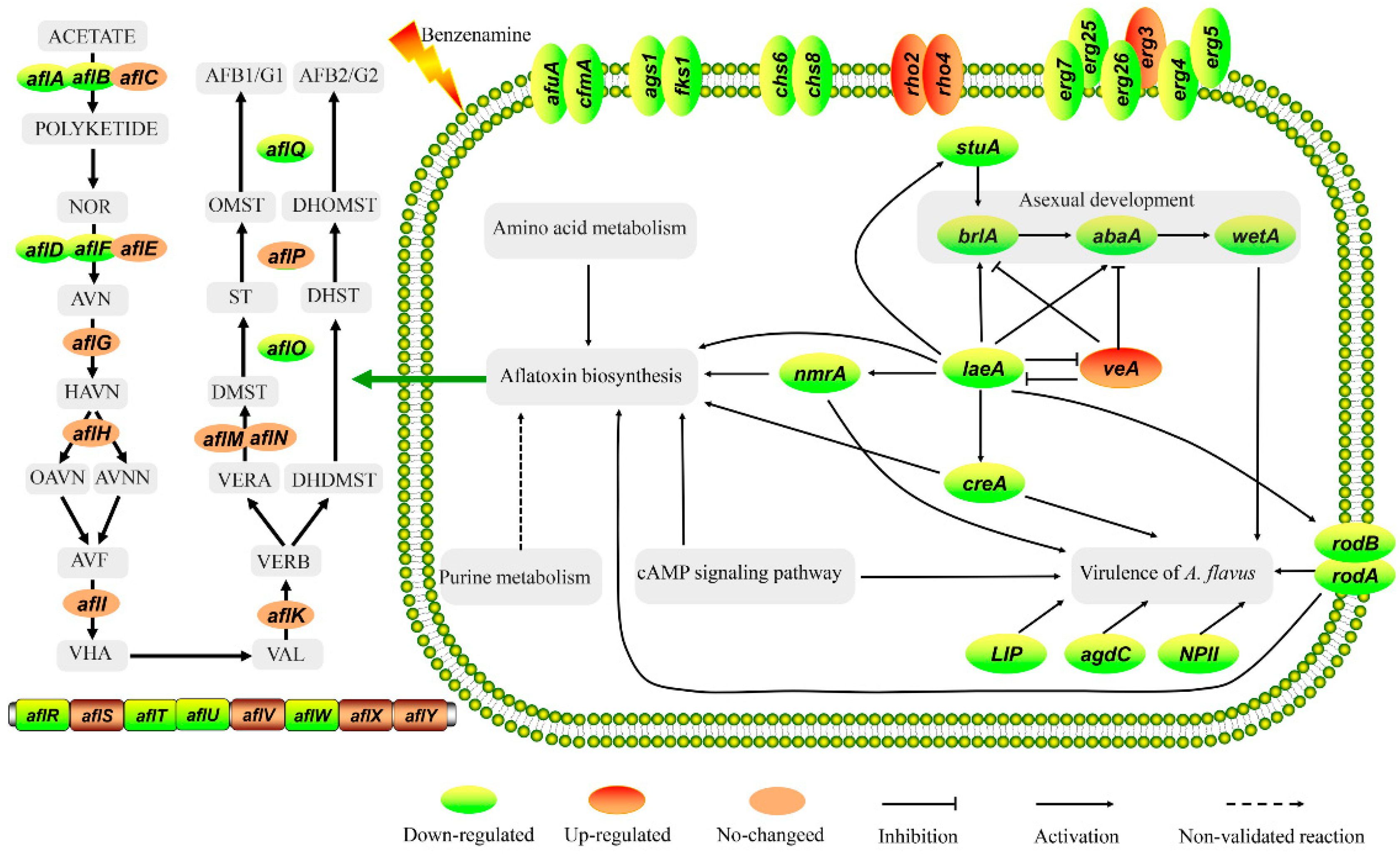 Toxins 11 00070 g007