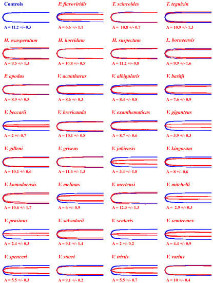 red and blue handwriting lines clipart