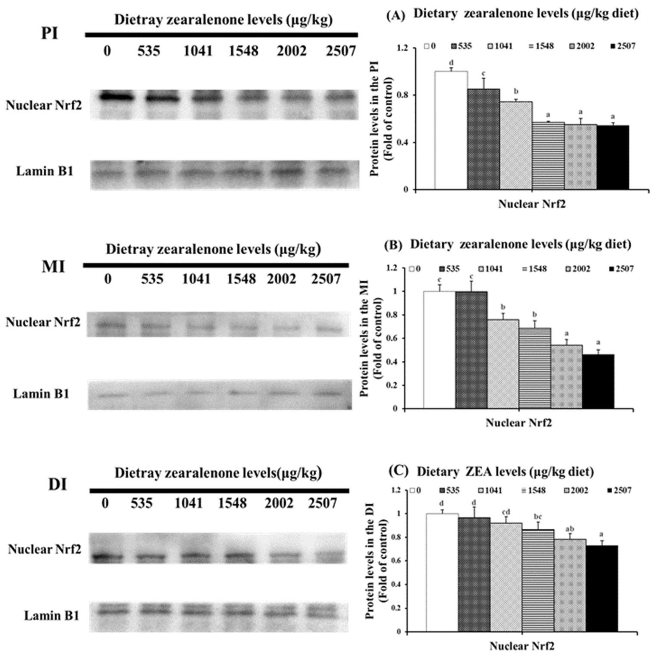 Toxins 11 00333 g005 Toxins 11 00333 g005