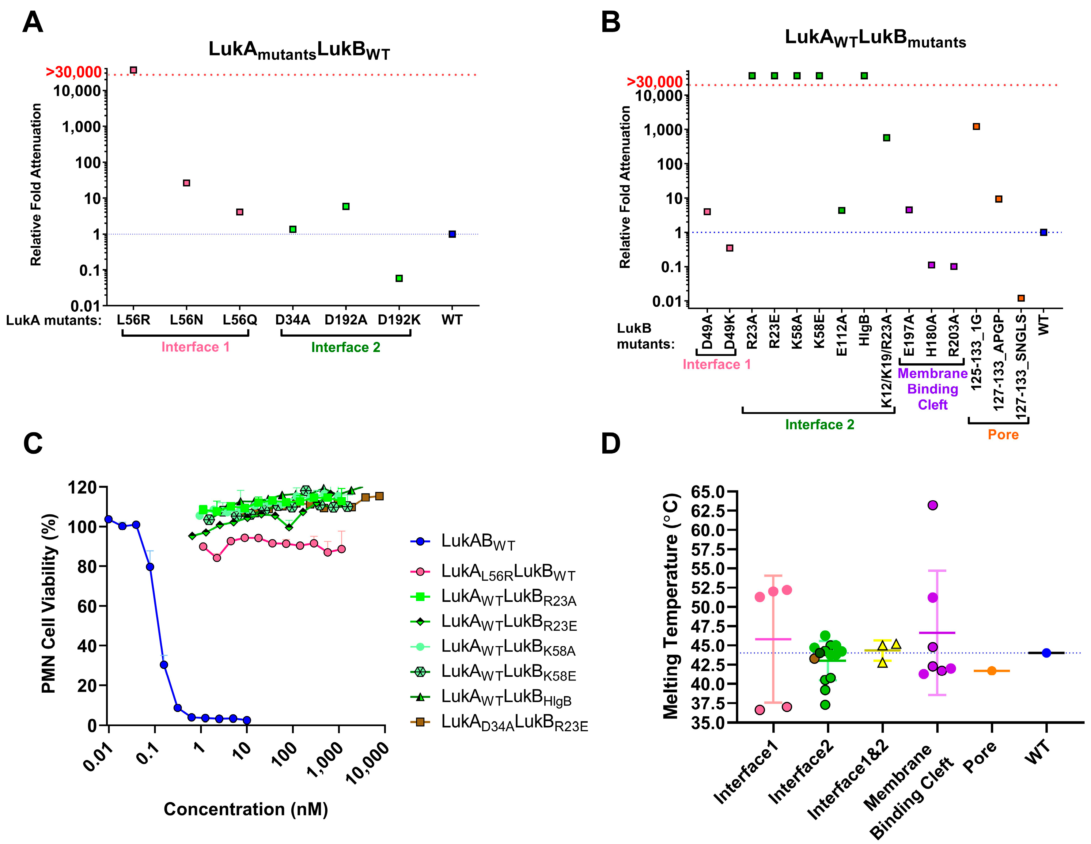 Toxins | Free Full-Text | Rational Design of Toxoid Vaccine Candidates ...