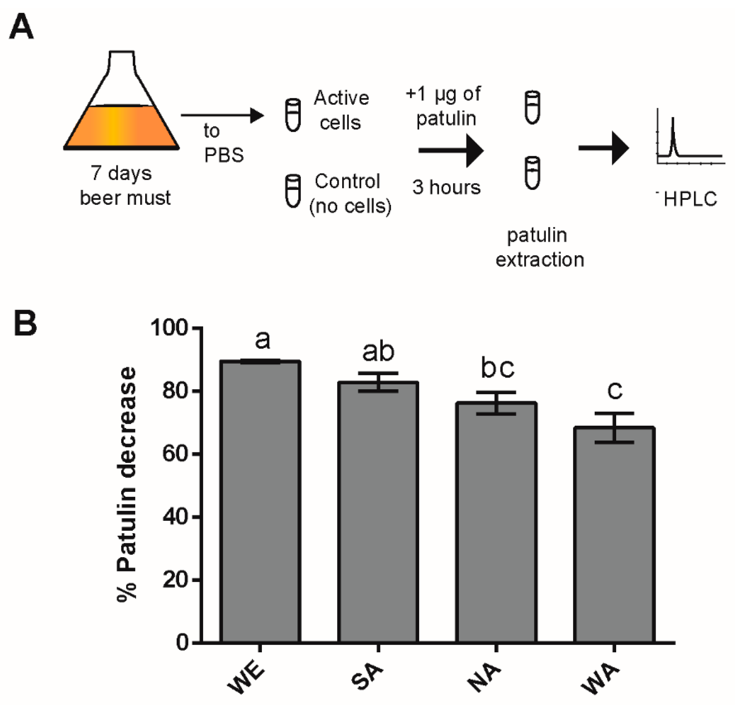 Toxins | in Underlie Free Patulin | cerevisiae Transcriptional Biosorption Distinct Full-Text Toxin to Changes Differences Response in Saccharomyces