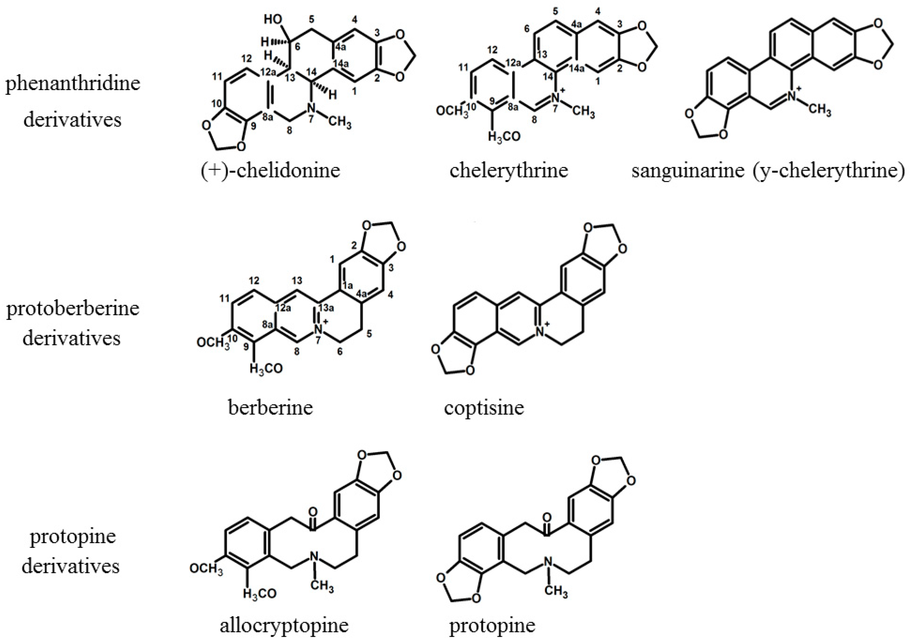 Analysis Of Alkaloids (indole Alkaloids, Isoquinoline