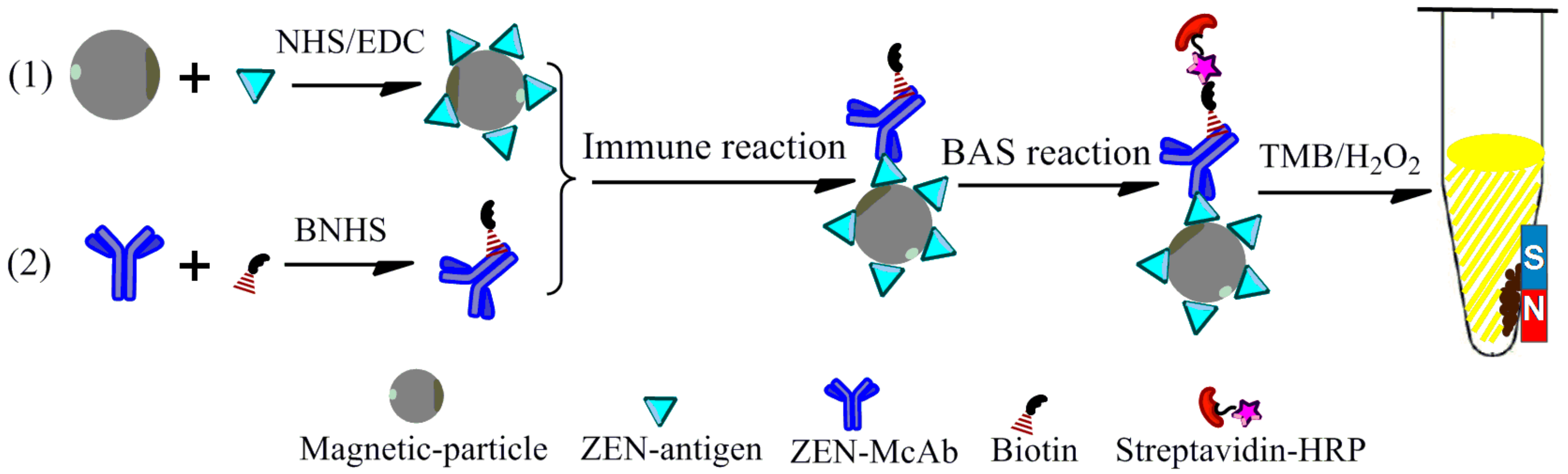 Toxins 11 00451 g001