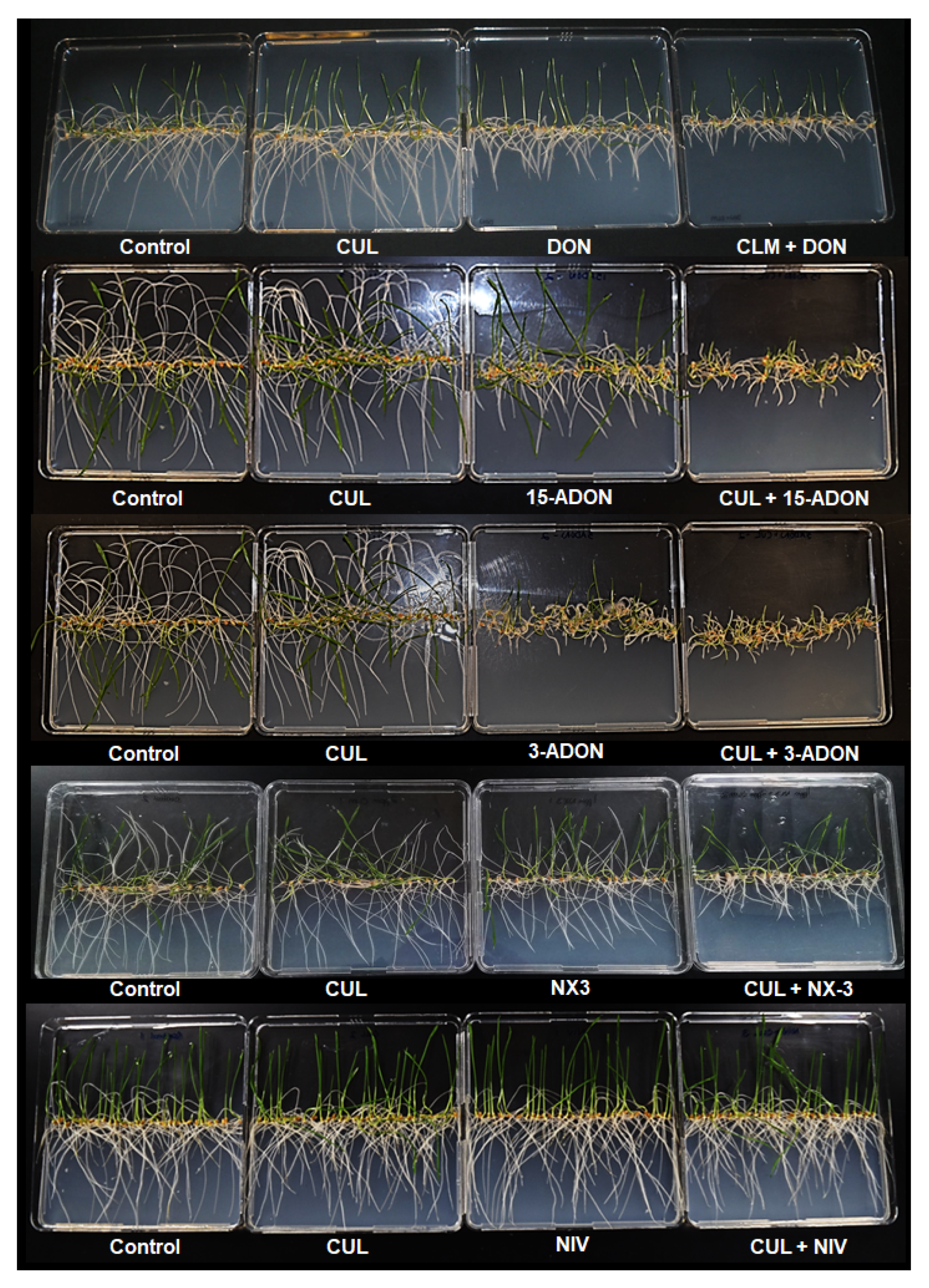 Toxins 11 00555 g003 Toxins 11 00555 g003