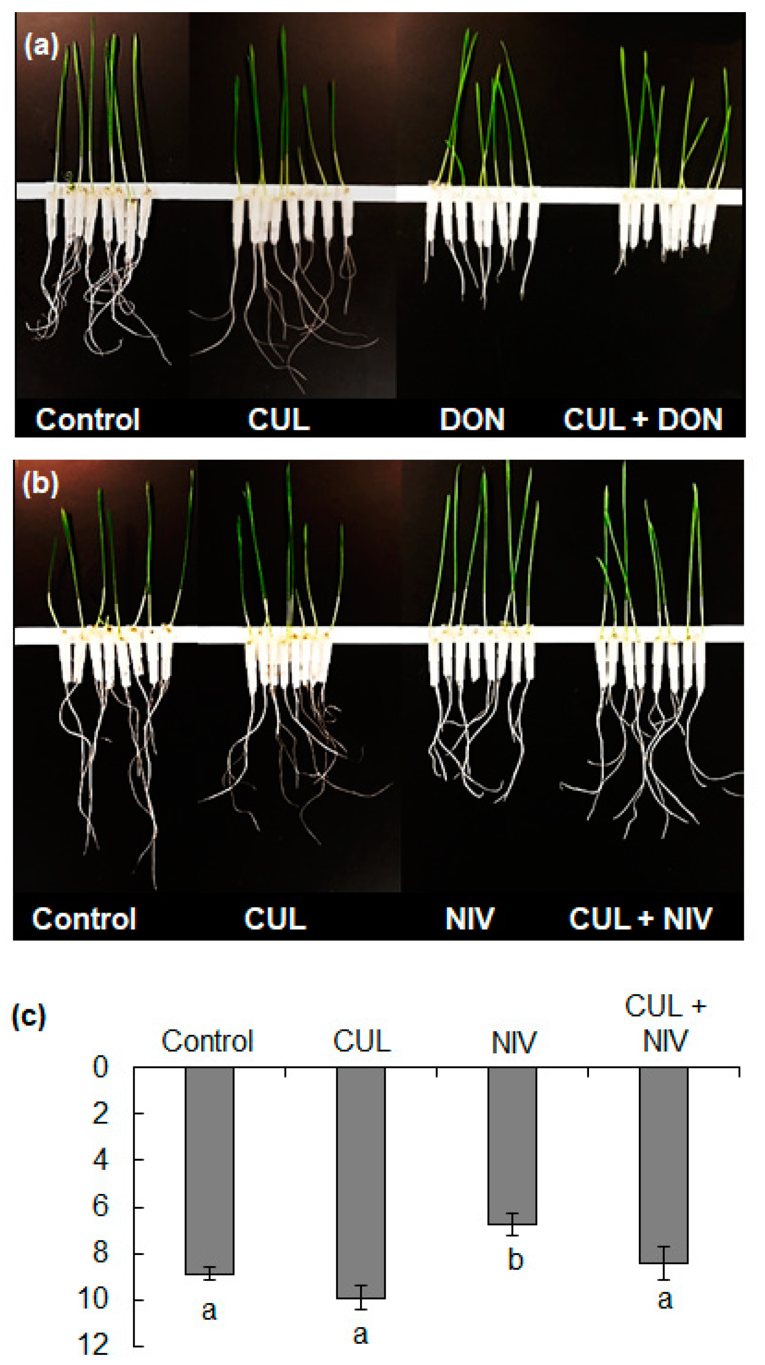 Toxins 11 00555 g006 Toxins 11 00555 g006
