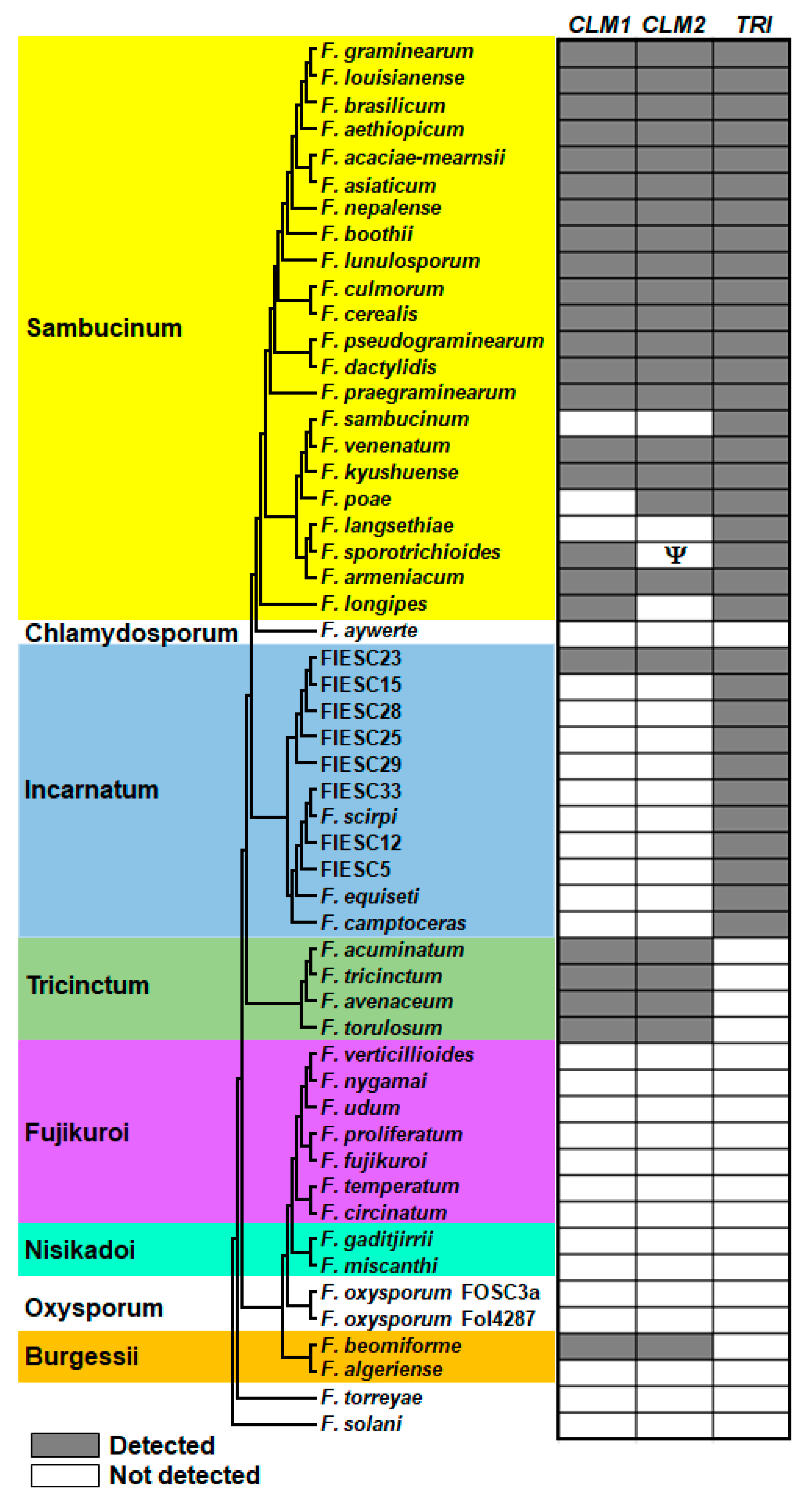 Toxins 11 00555 g010 Toxins 11 00555 g010
