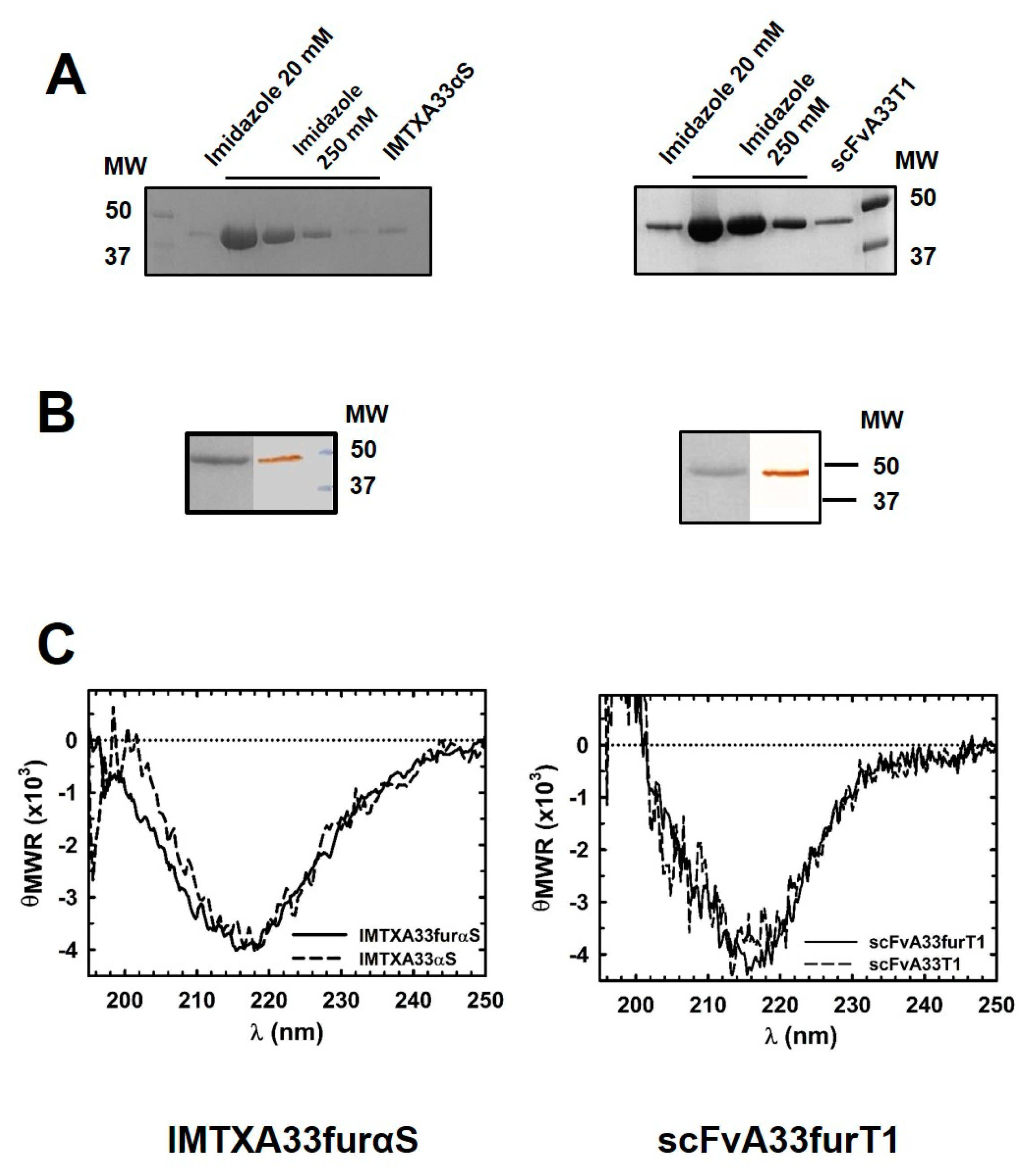 Toxins 11 00593 g003 Toxins 11 00593 g003