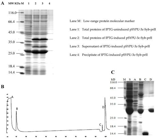 Toxins | Free Full-Text | Anti-Nociceptive and Anti-Inflammation 