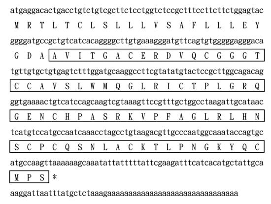 Toxins Free Full Text Bv8 Like Toxin From The Frog Venom Of Amolops Jingdongensis Promotes Wound Healing Via The Interleukin 1 Signaling Pathway Html