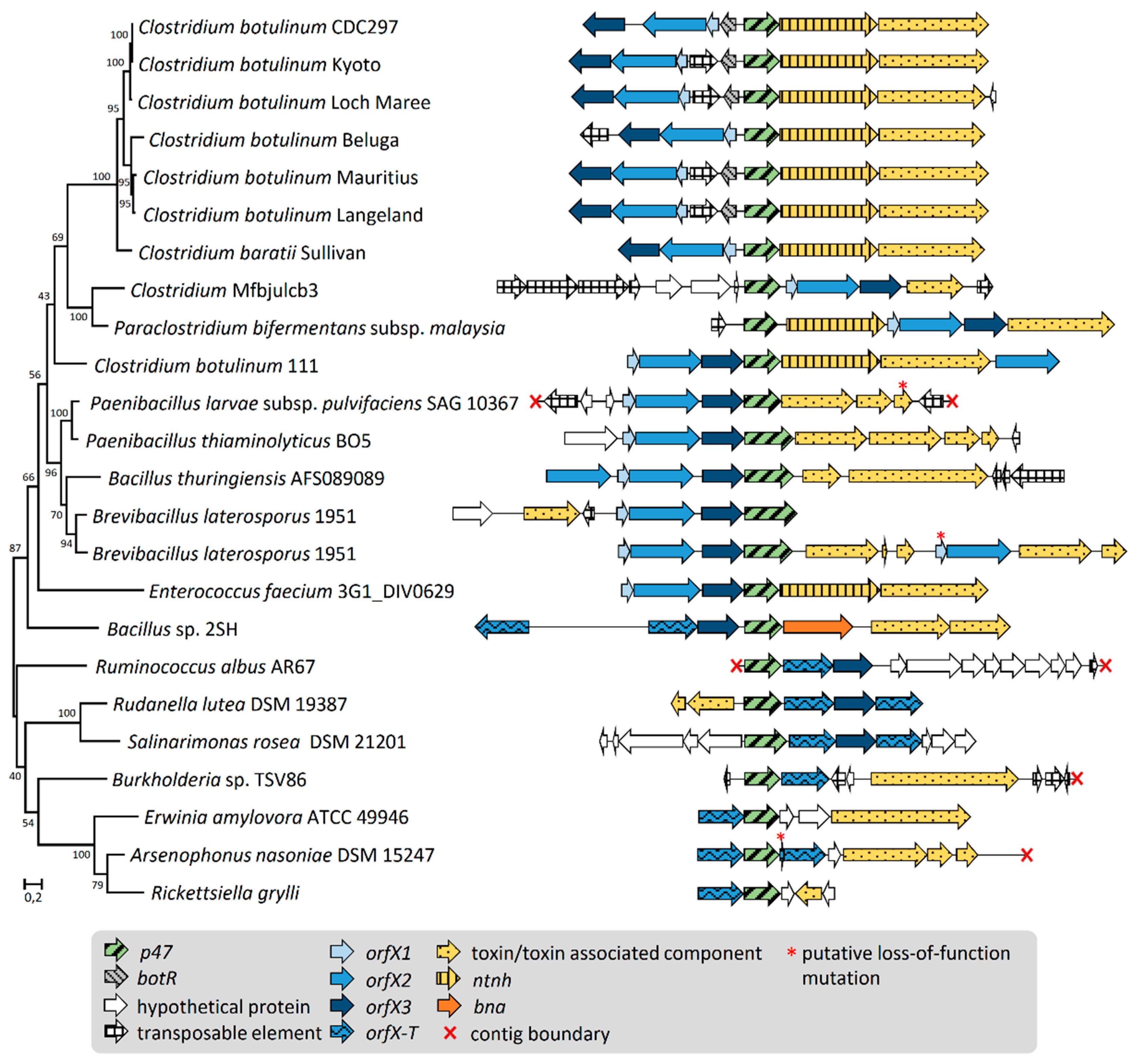 Toxins 12 00019 g002