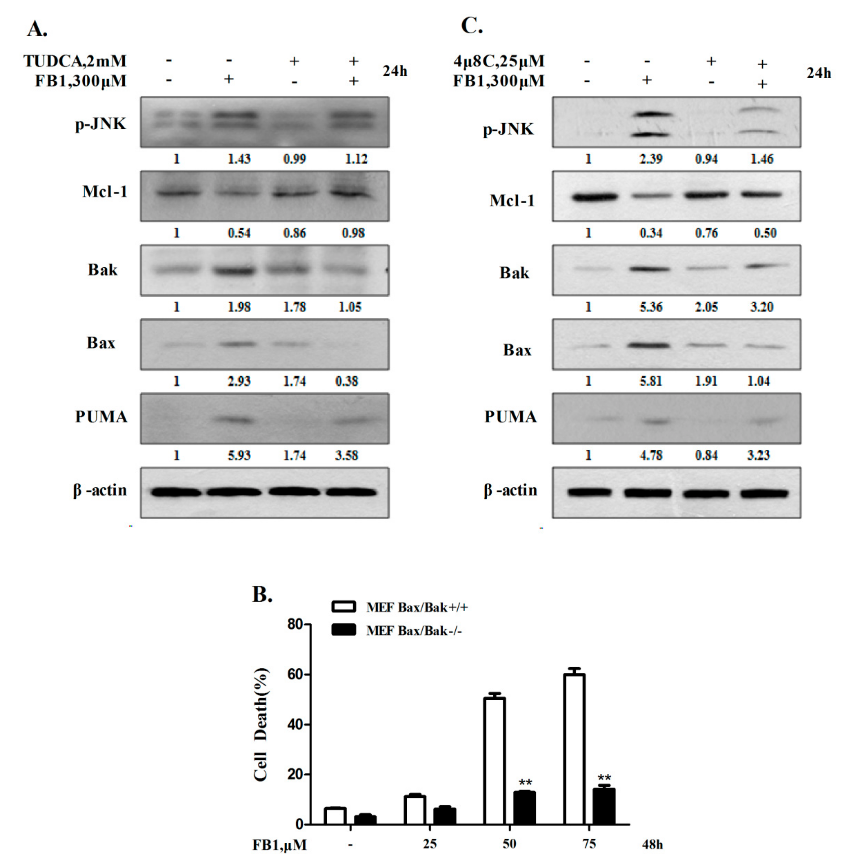 Toxins 12 00055 g002