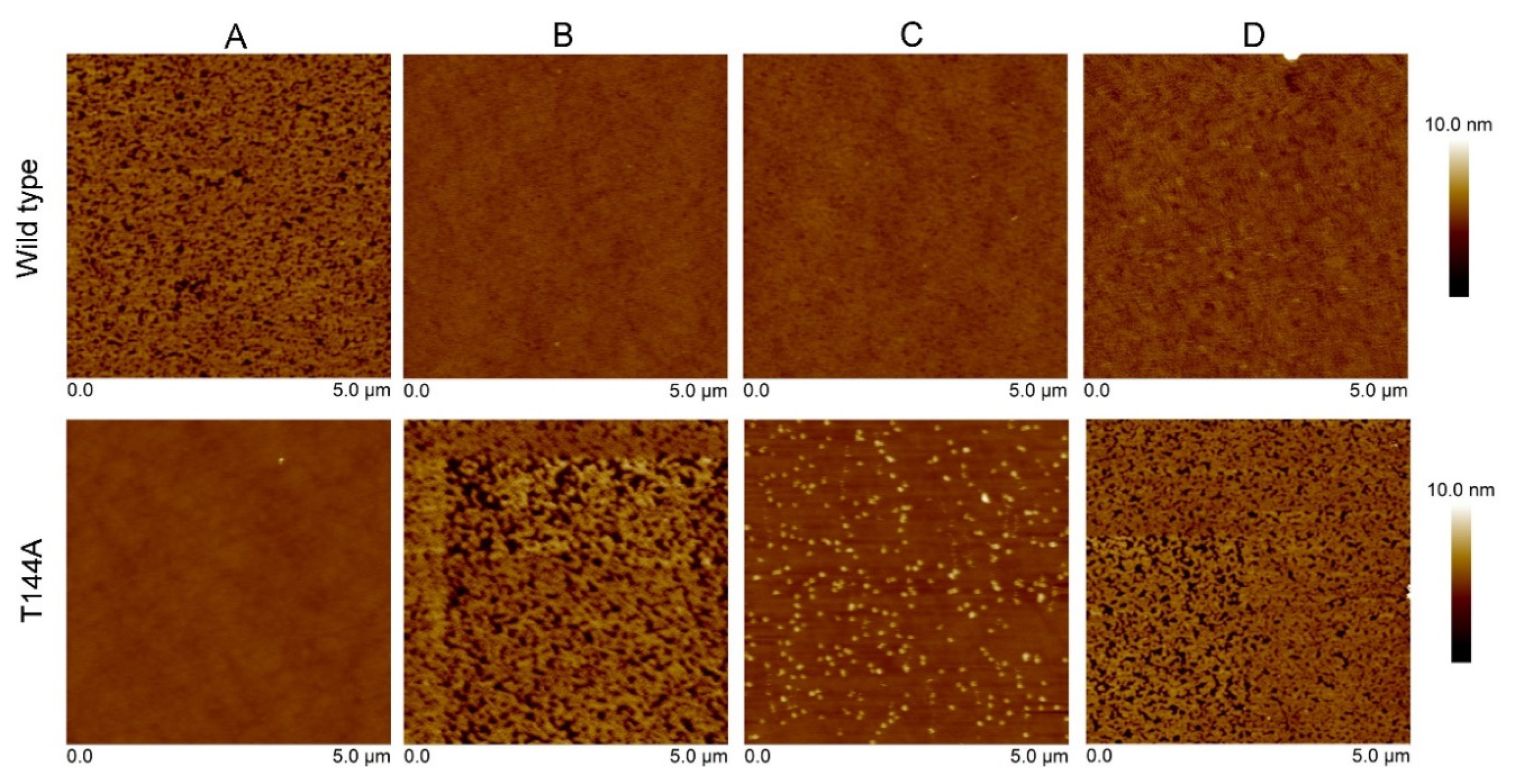Toxins 12 00226 g003 Toxins 12 00226 g003