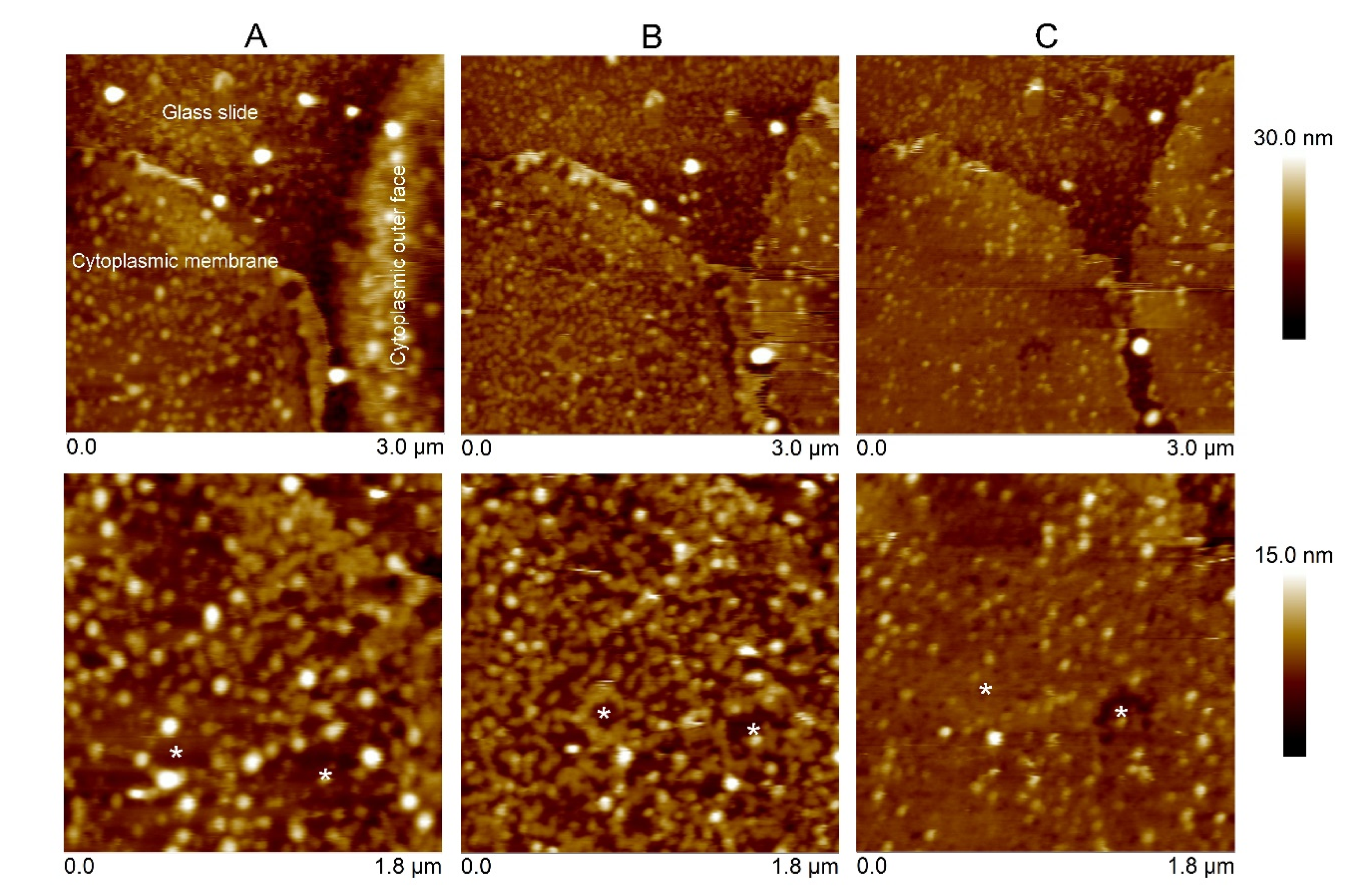 Toxins 12 00226 g005 Toxins 12 00226 g005