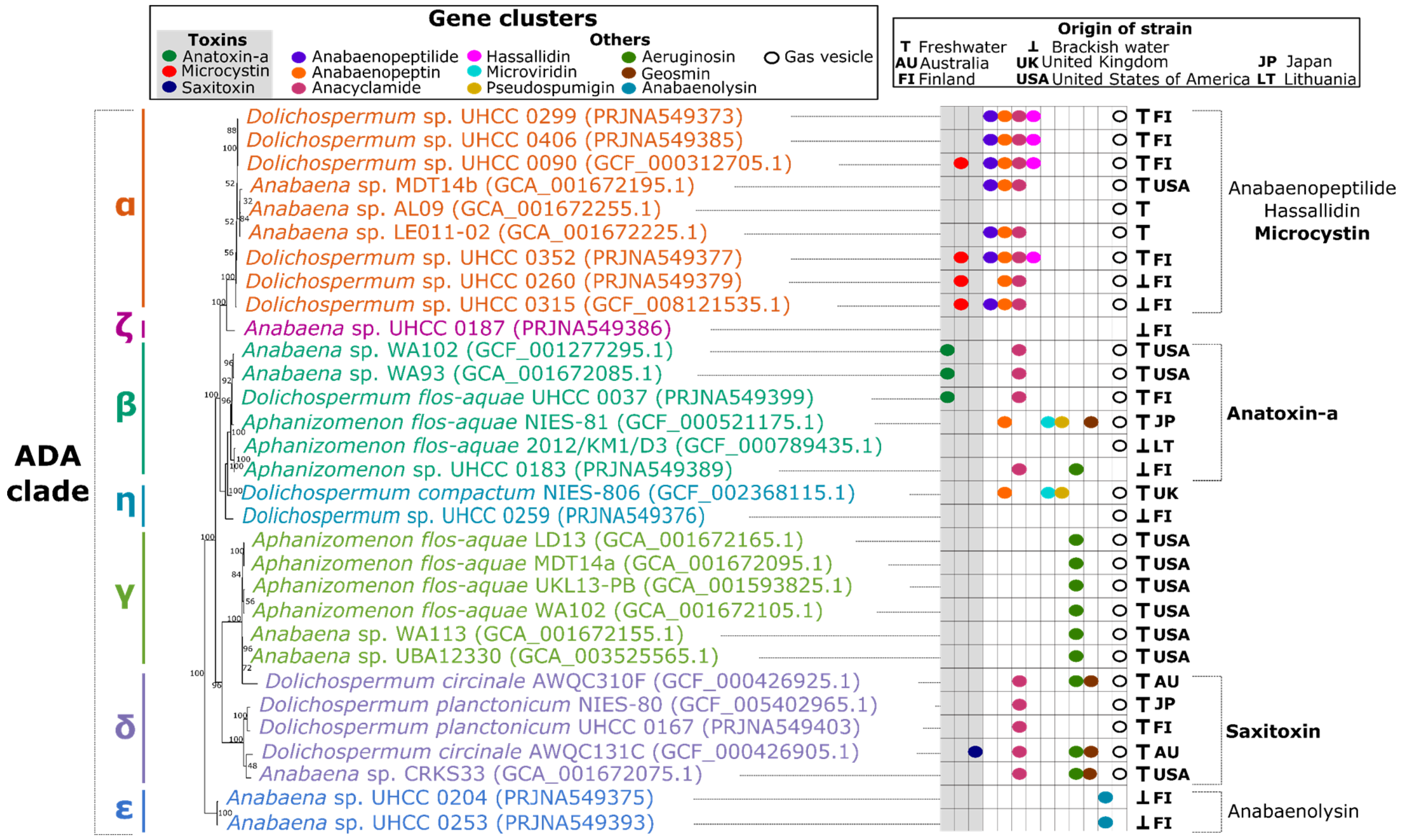 Toxins Free Full Text Phylogenomic Analysis Of Secondary Metabolism In The Toxic Cyanobacterial Genera Anabaena Dolichospermum And Aphanizomenon Html