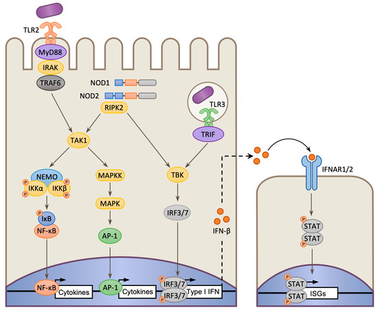 Toxins | Free Full-Text | Pathogenic Biohacking: Induction, Modulation ...