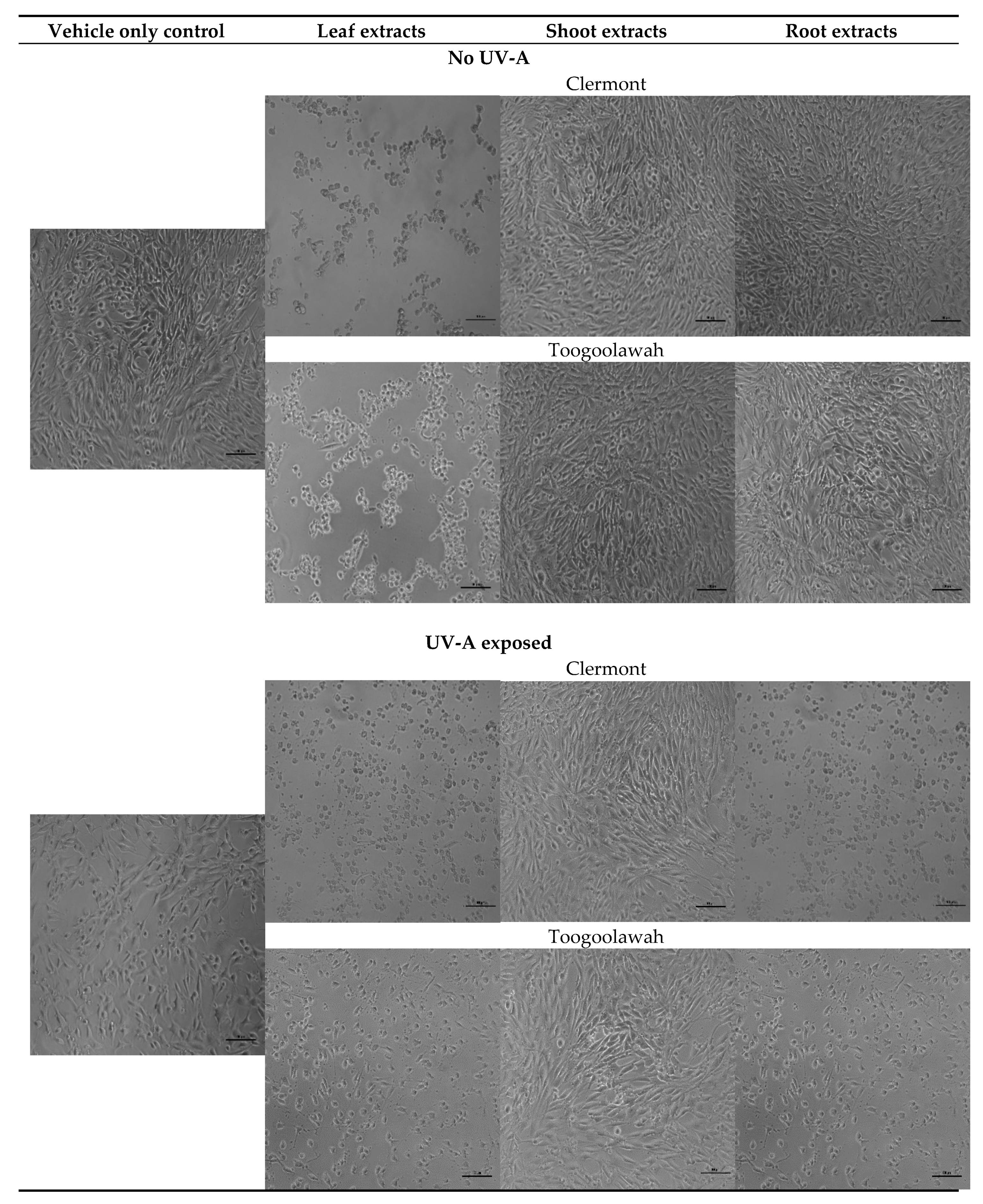 Toxins 12 00447 g006 Toxins 12 00447 g006