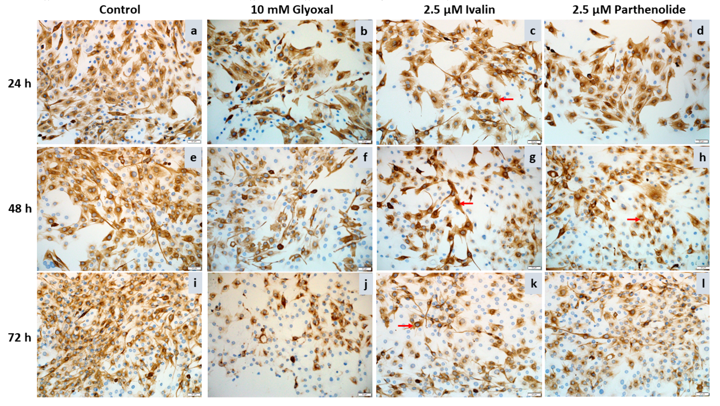 Toxins 12 00459 g004 Toxins 12 00459 g004
