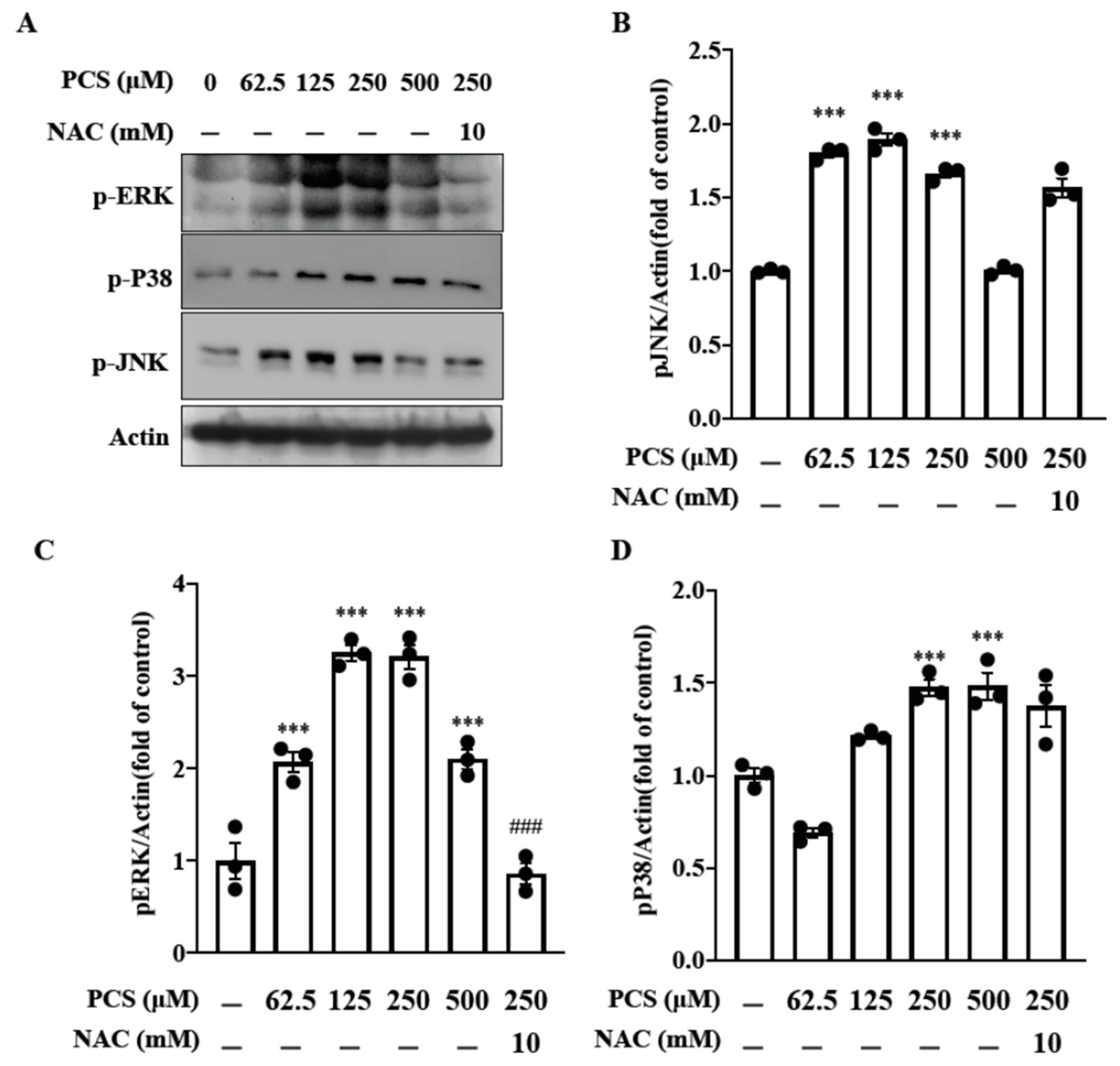 Toxins Free Full Text Scavenging Intracellular Ros Attenuates P Cresyl Sulfate Triggered Osteogenesis Through Mapk Signaling Pathway And Nf Kb Activation In Human Arterial Smooth Muscle Cells Html