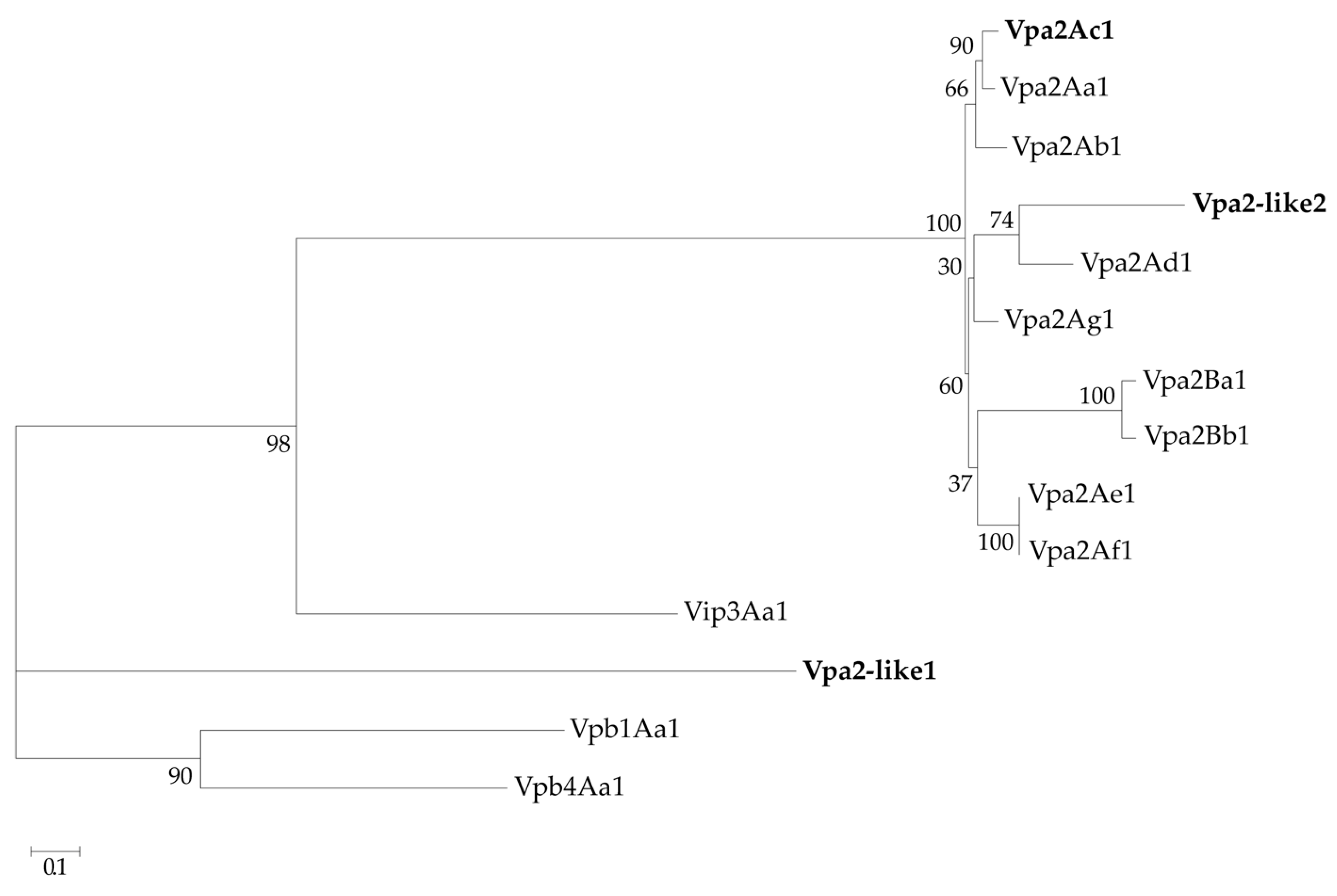 Toxins 12 00543 g002