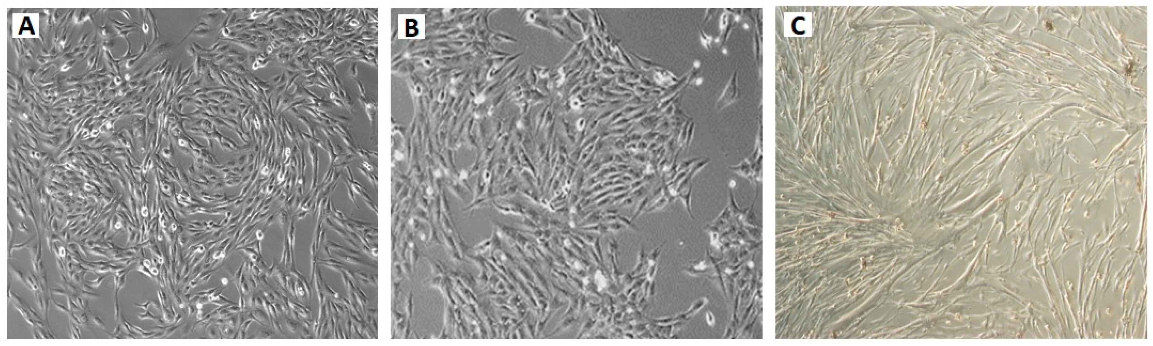 Toxins 12 00614 g011
