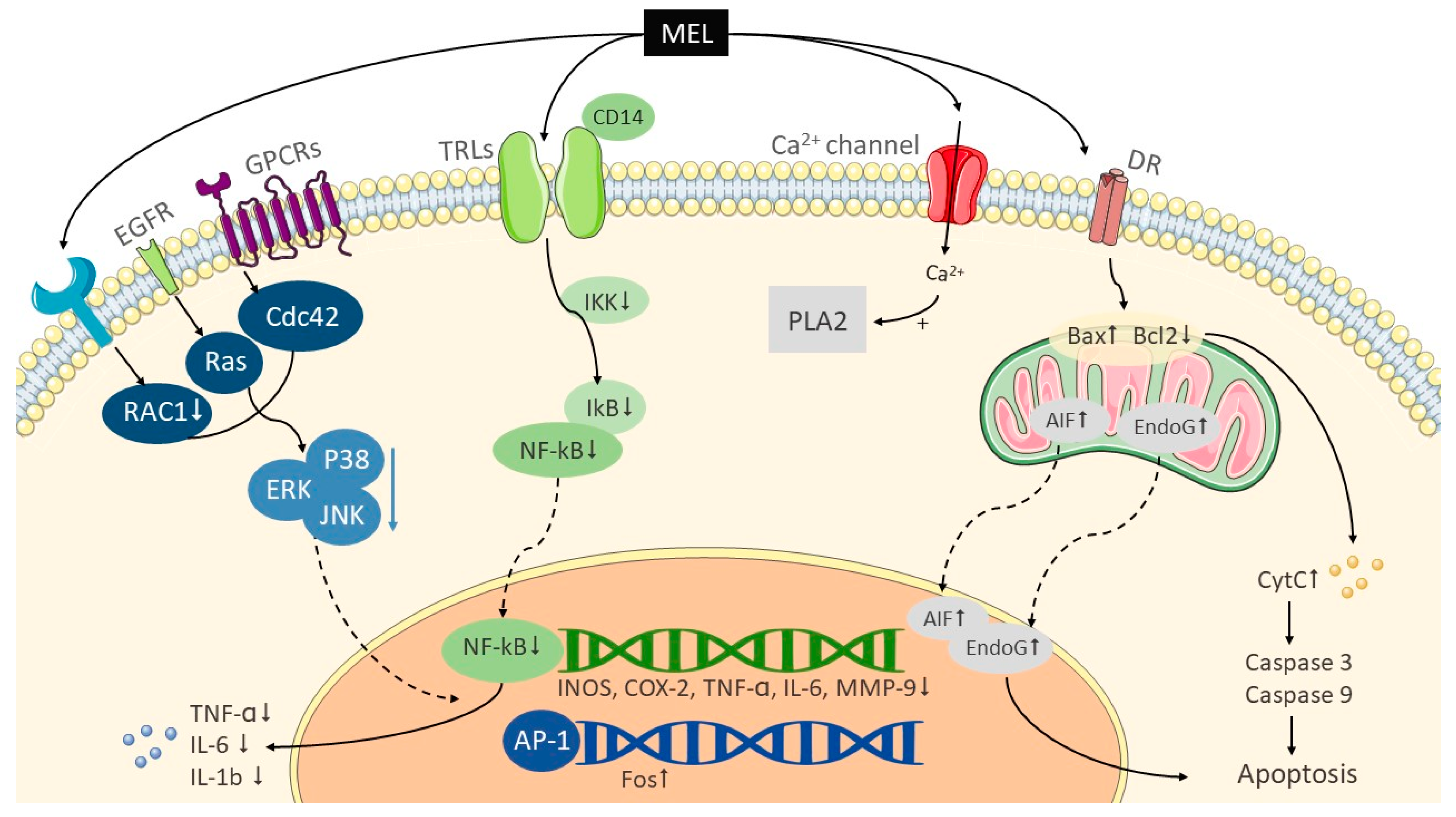 Toxins 12 00618 g001