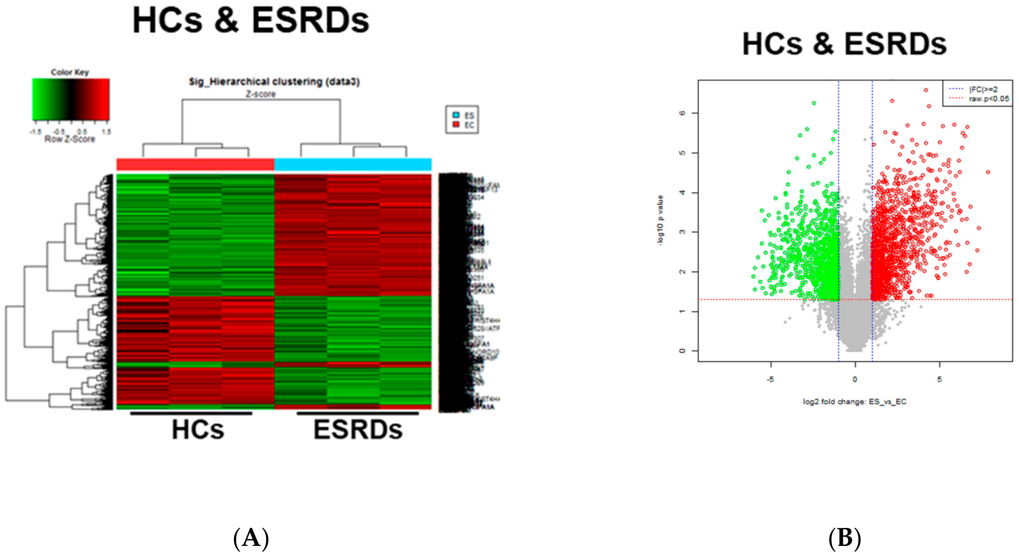 Toxins 12 00621 g001a