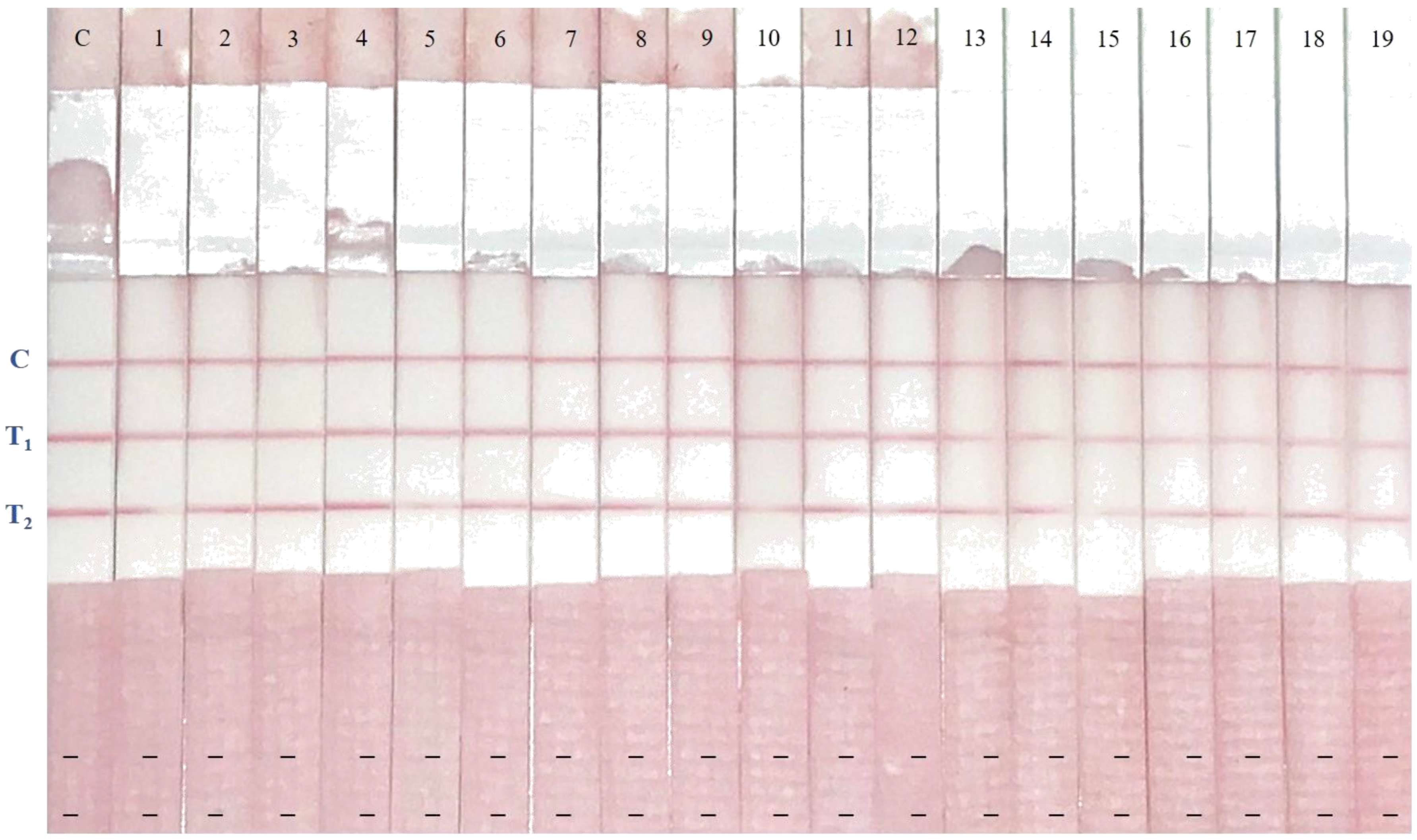 Toxins 12 00637 g005