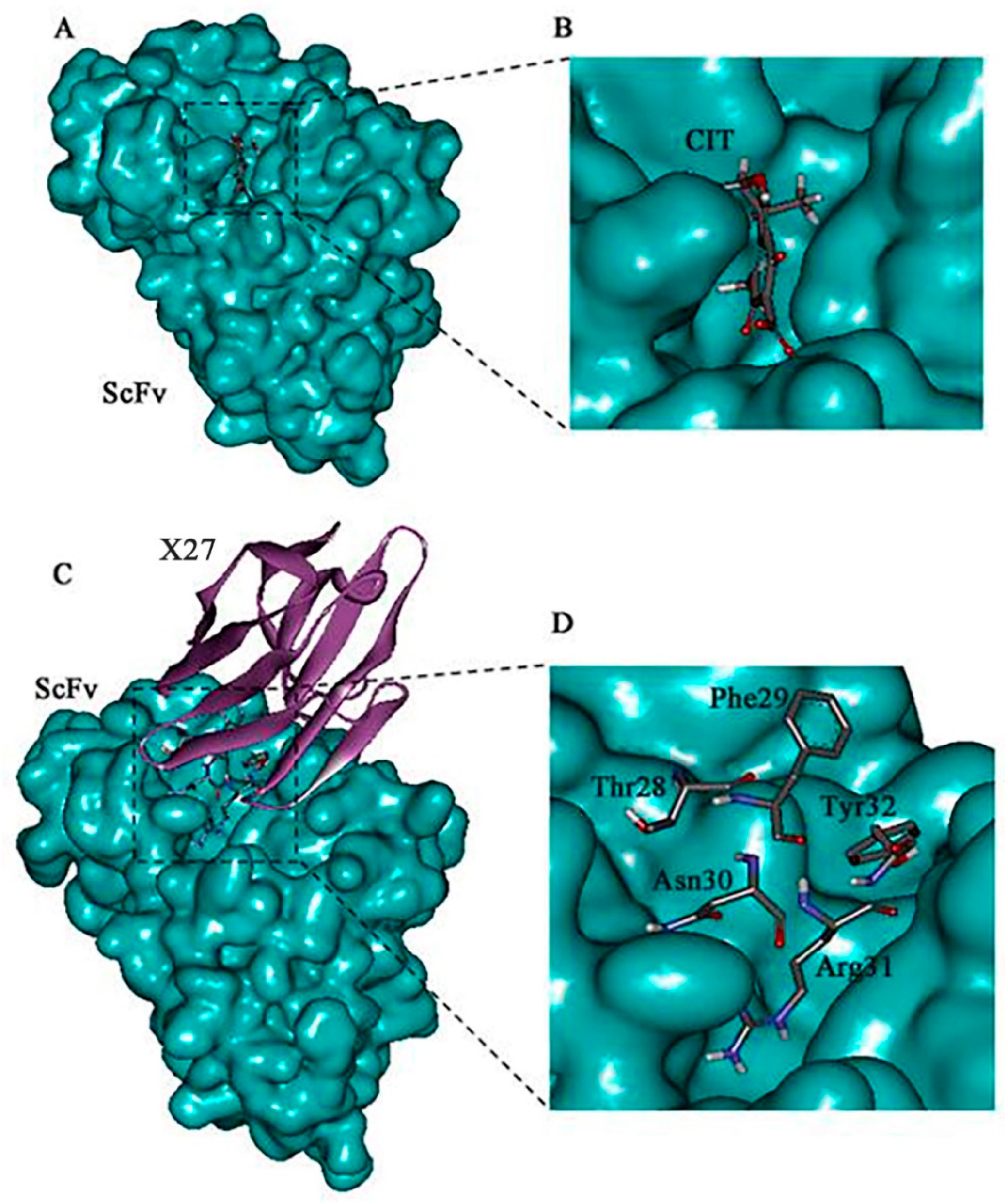 Toxins 12 00655 g002 Toxins 12 00655 g002