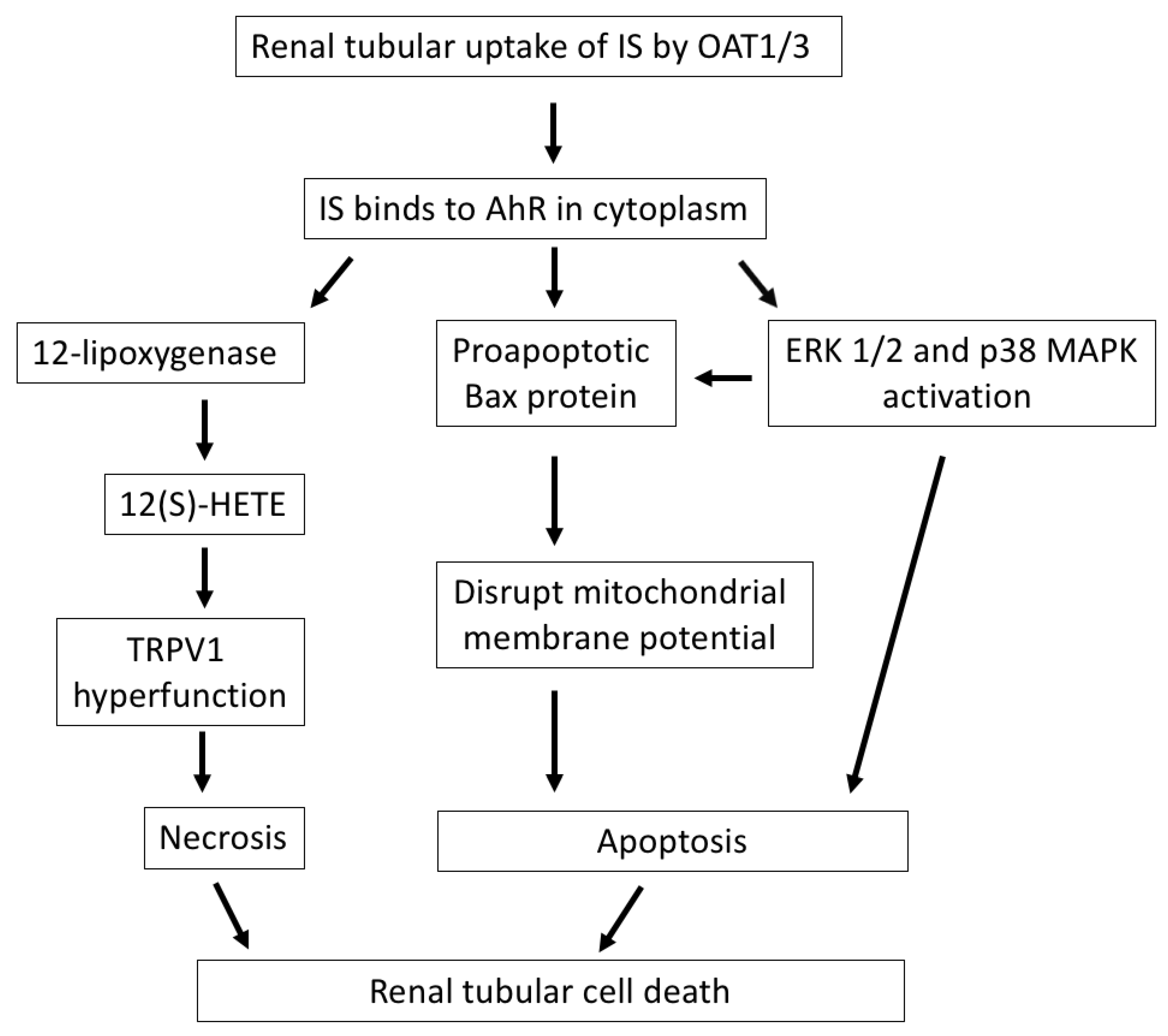 Toxins 12 00684 g001 Toxins 12 00684 g001