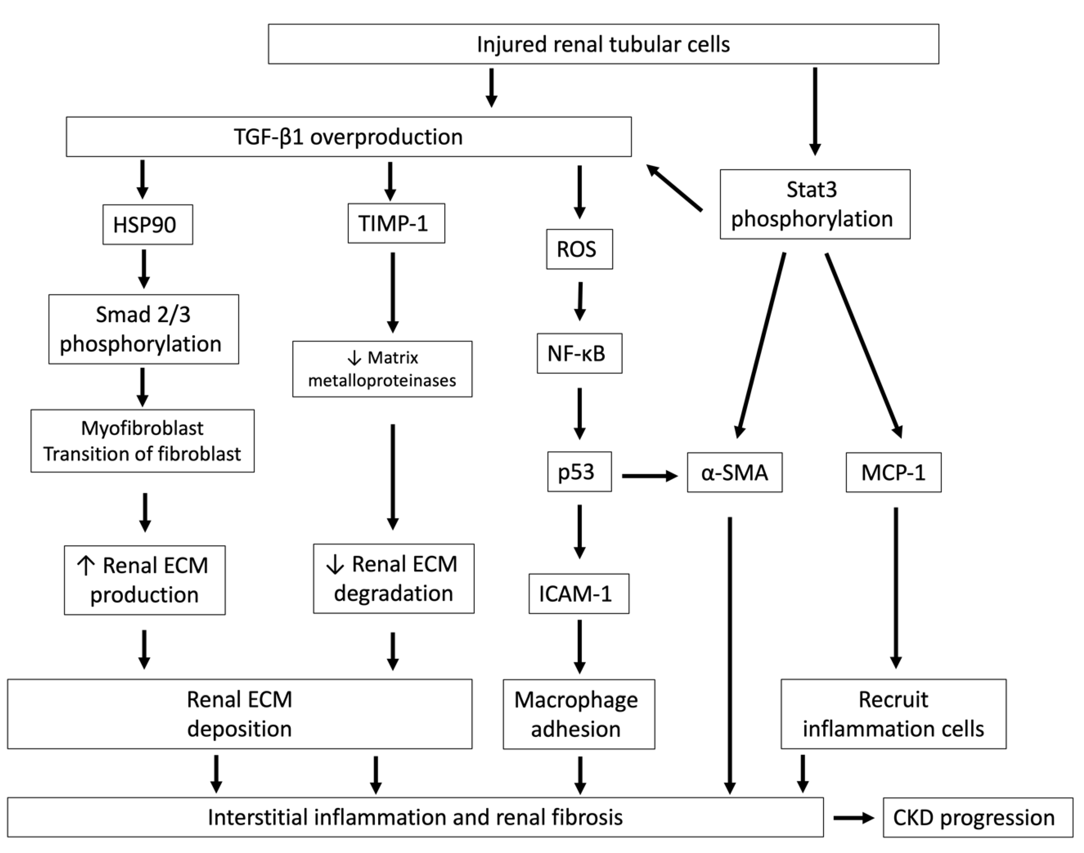 Toxins 12 00684 g003 Toxins 12 00684 g003