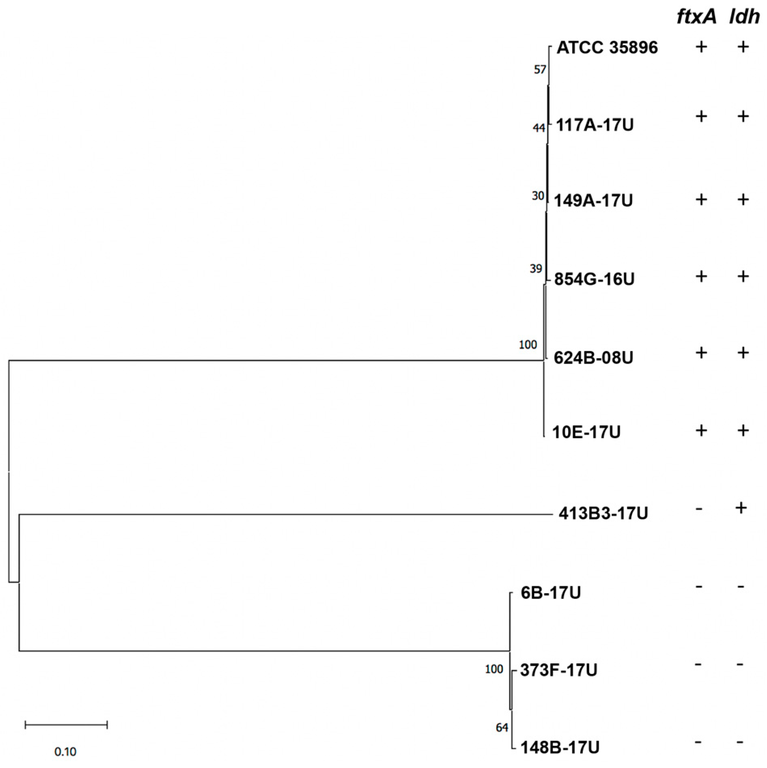 Toxins 12 00687 g002 Toxins 12 00687 g002