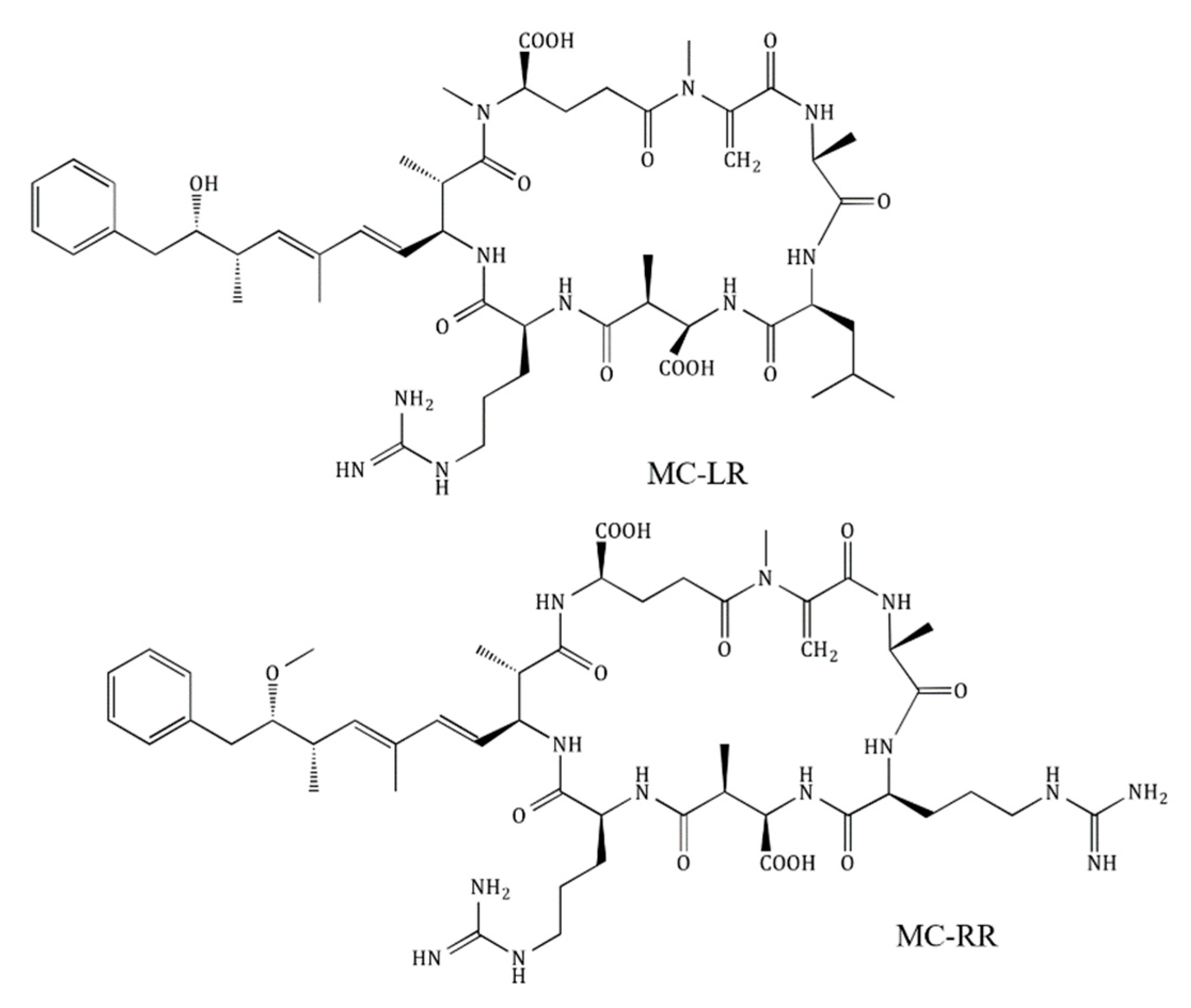 Toxins 12 00688 g001 Toxins 12 00688 g001