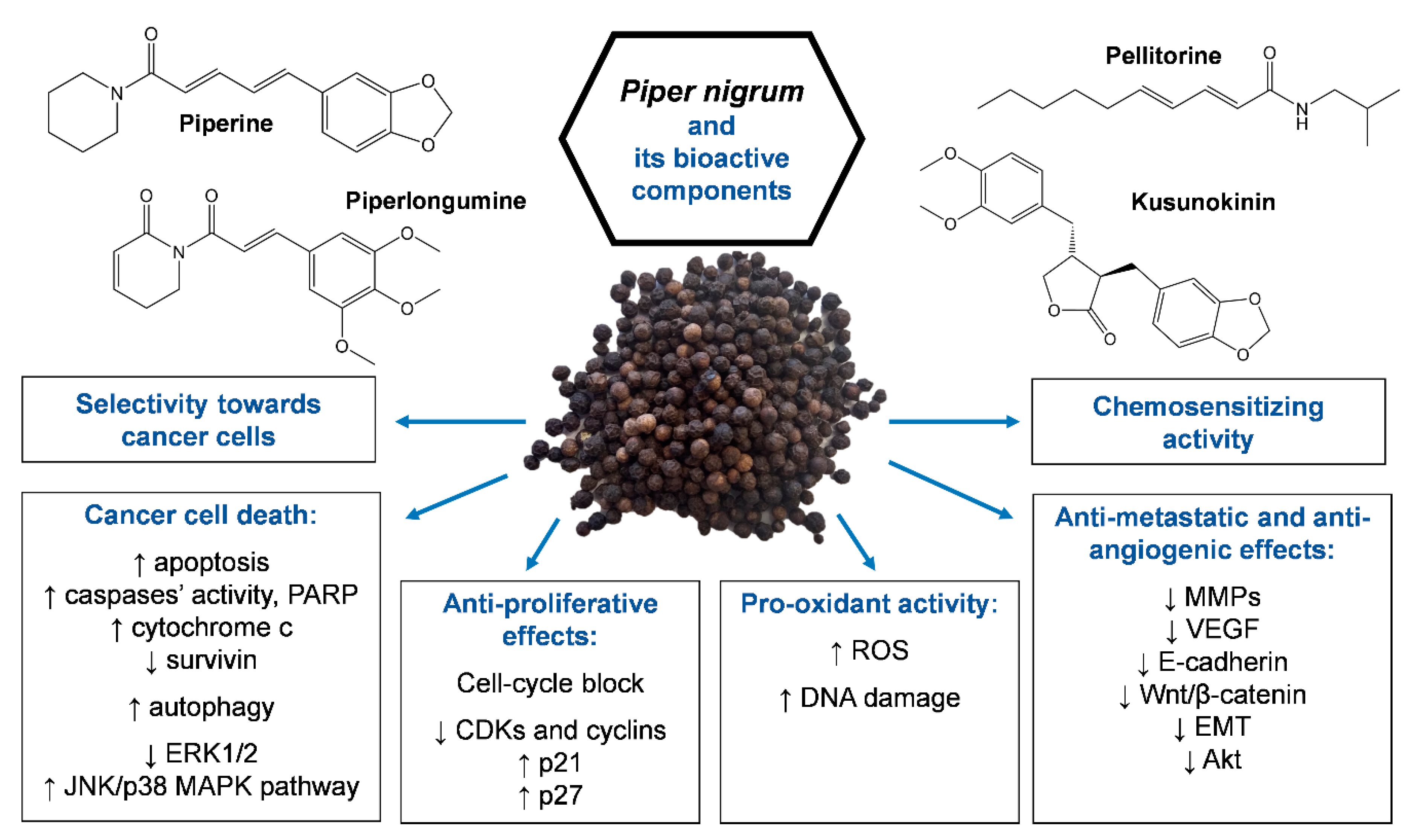Toxins 12 00747 g001
