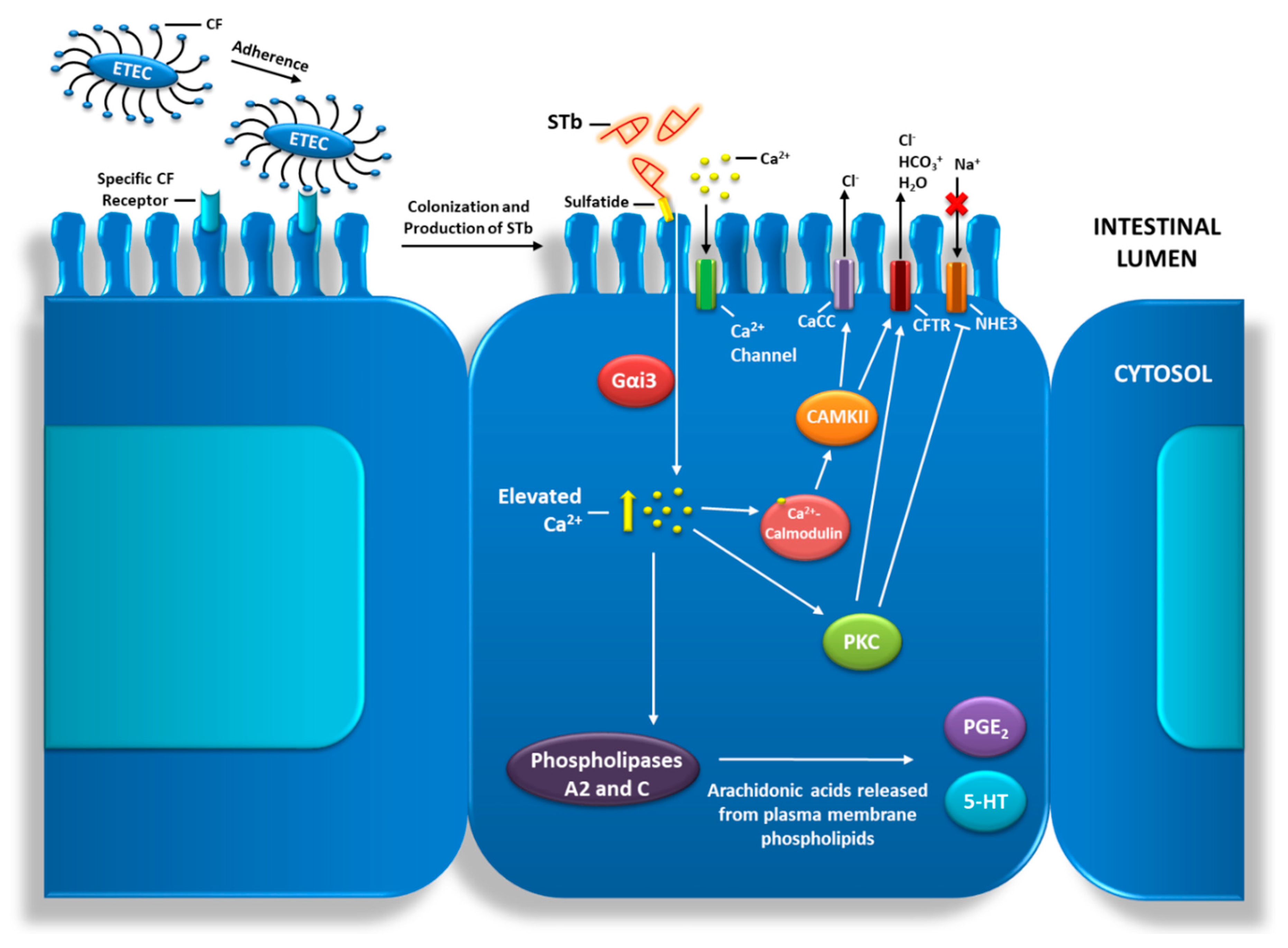 Toxins 12 00760 g002