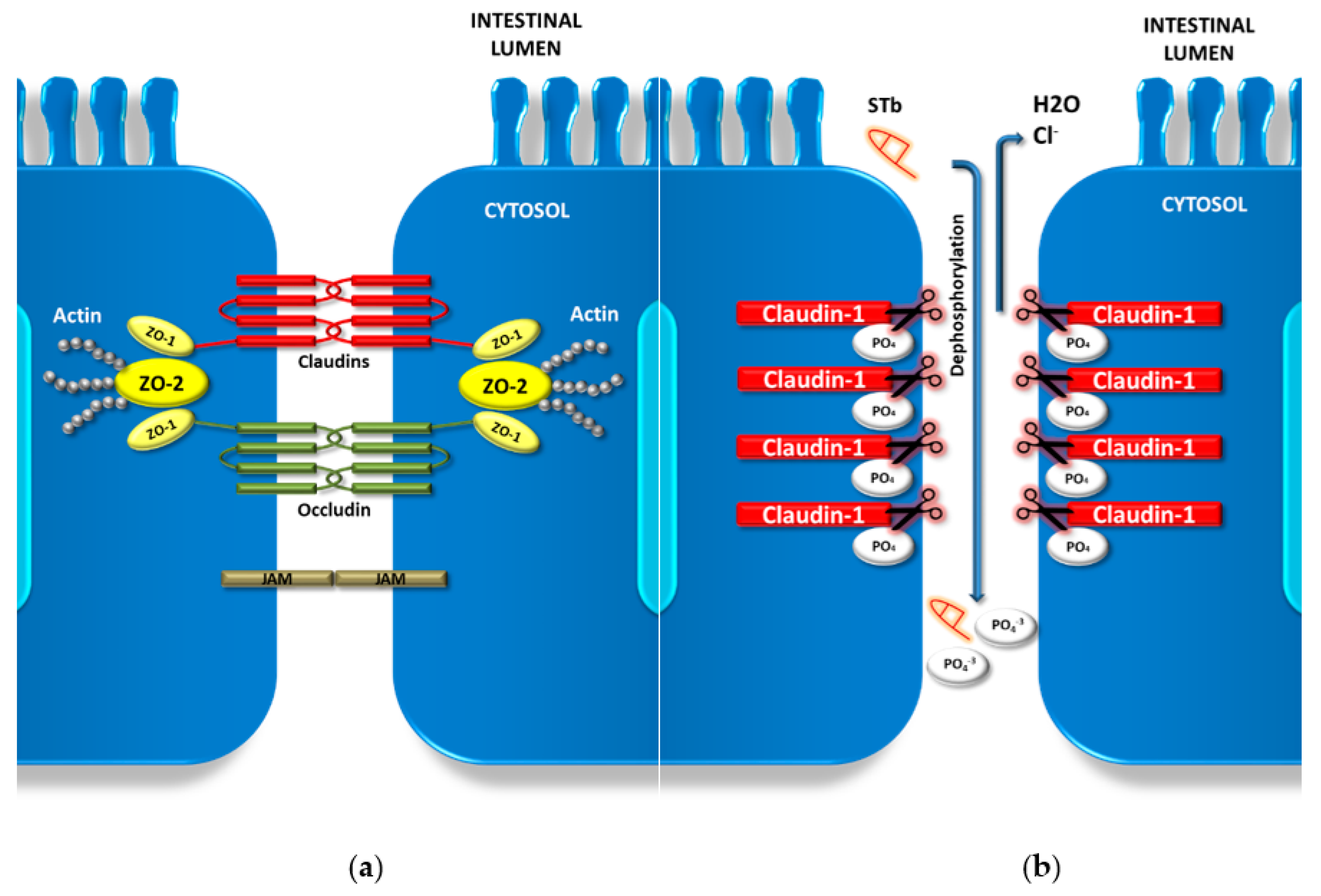 Toxins 12 00760 g003