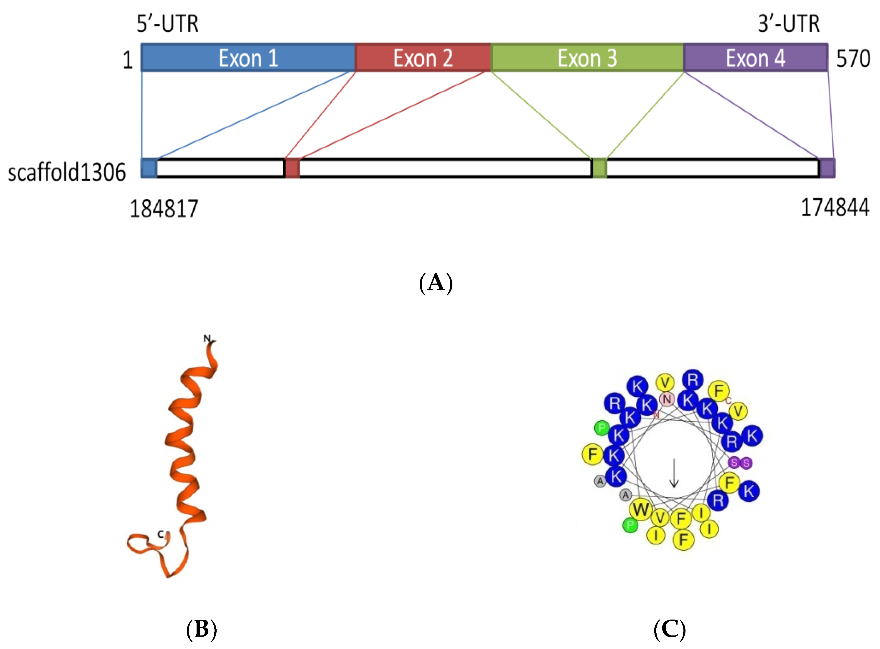 Toxins 12 00771 g001a