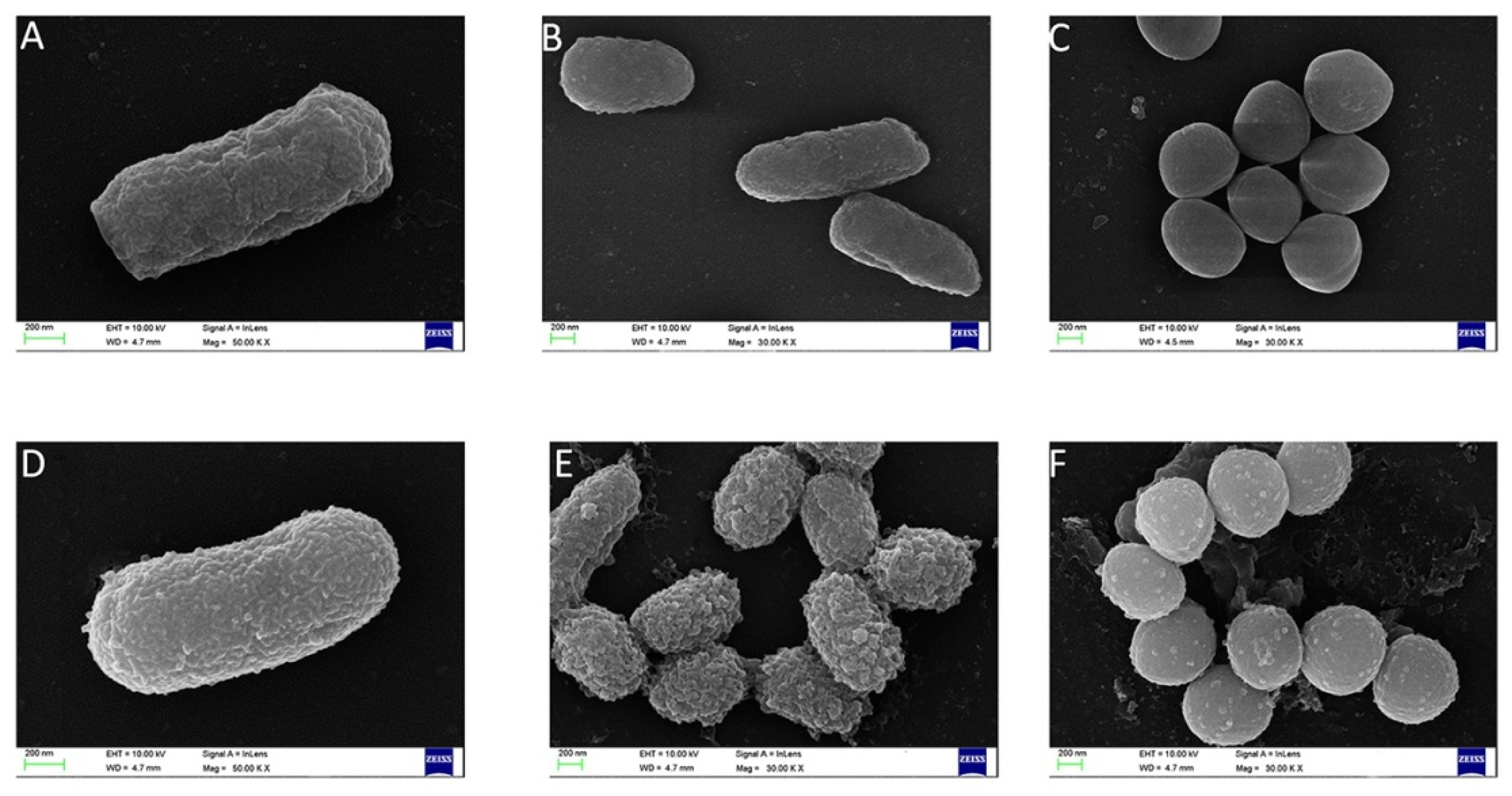 Toxins 12 00771 g006