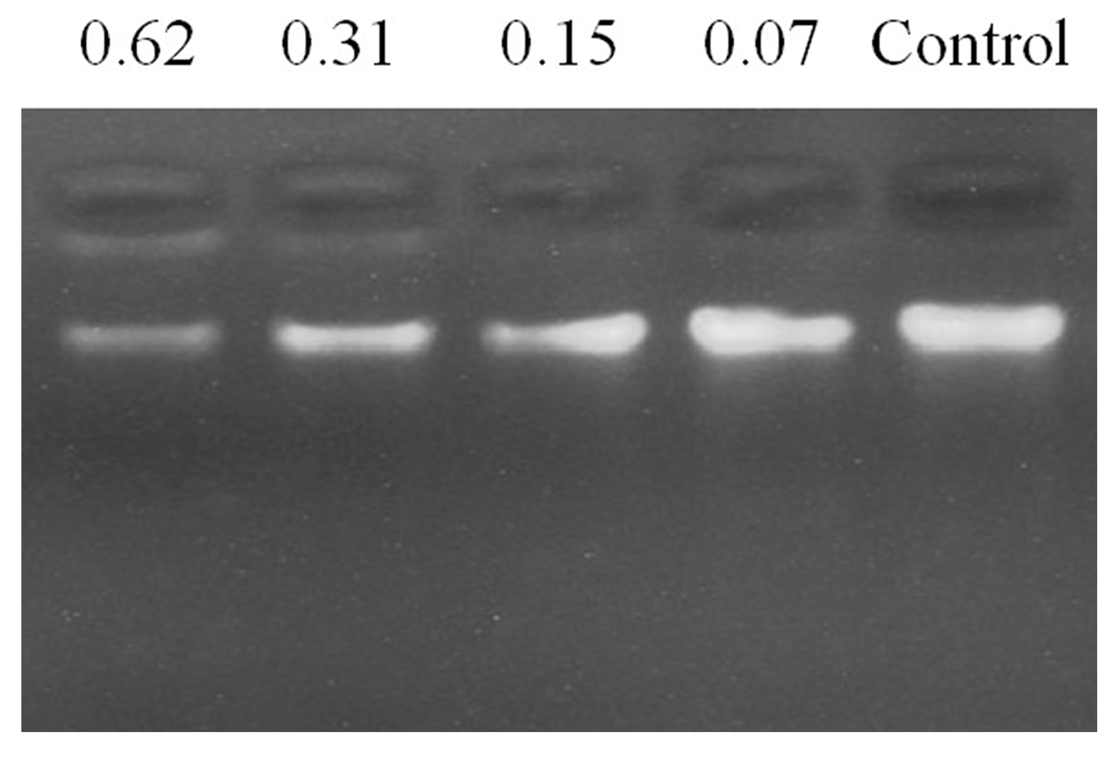 Toxins 12 00771 g009