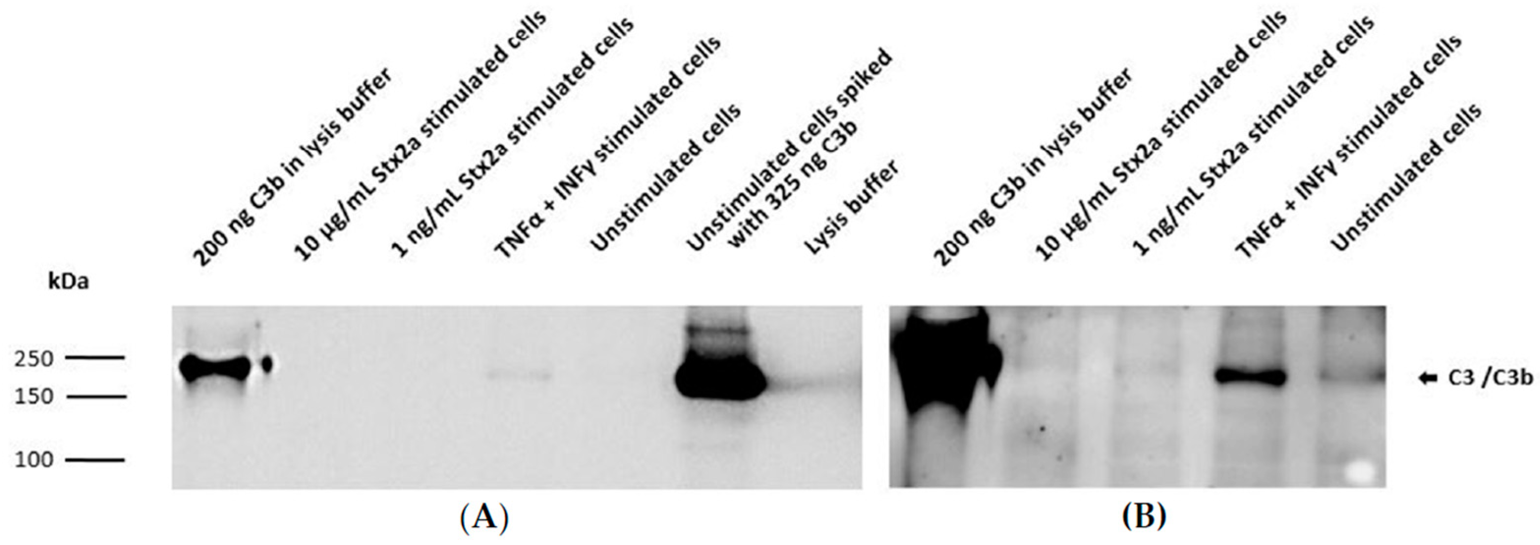Toxins 13 00008 g005