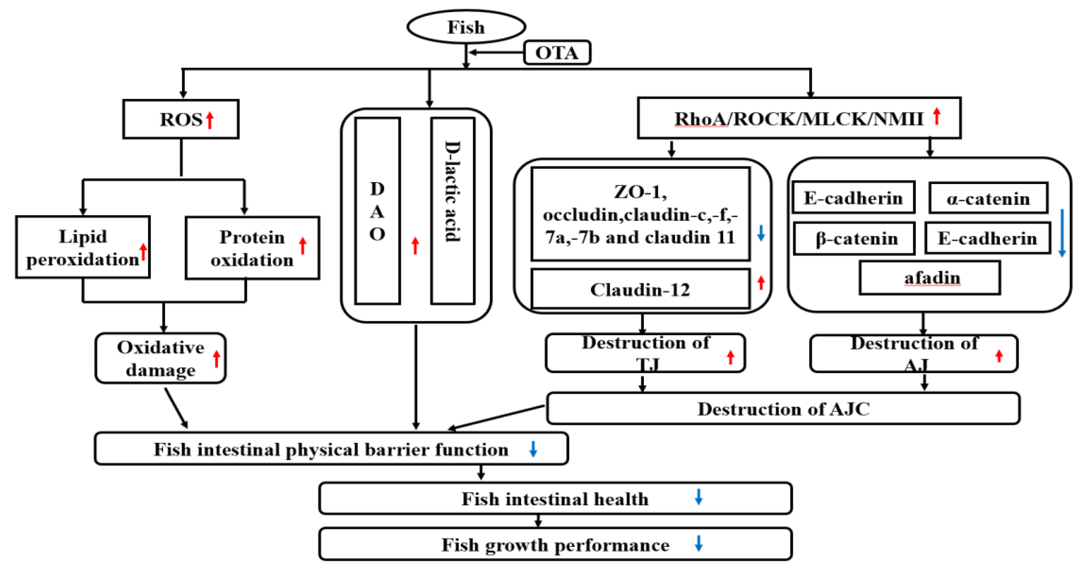 Toxins 13 00011 g008
